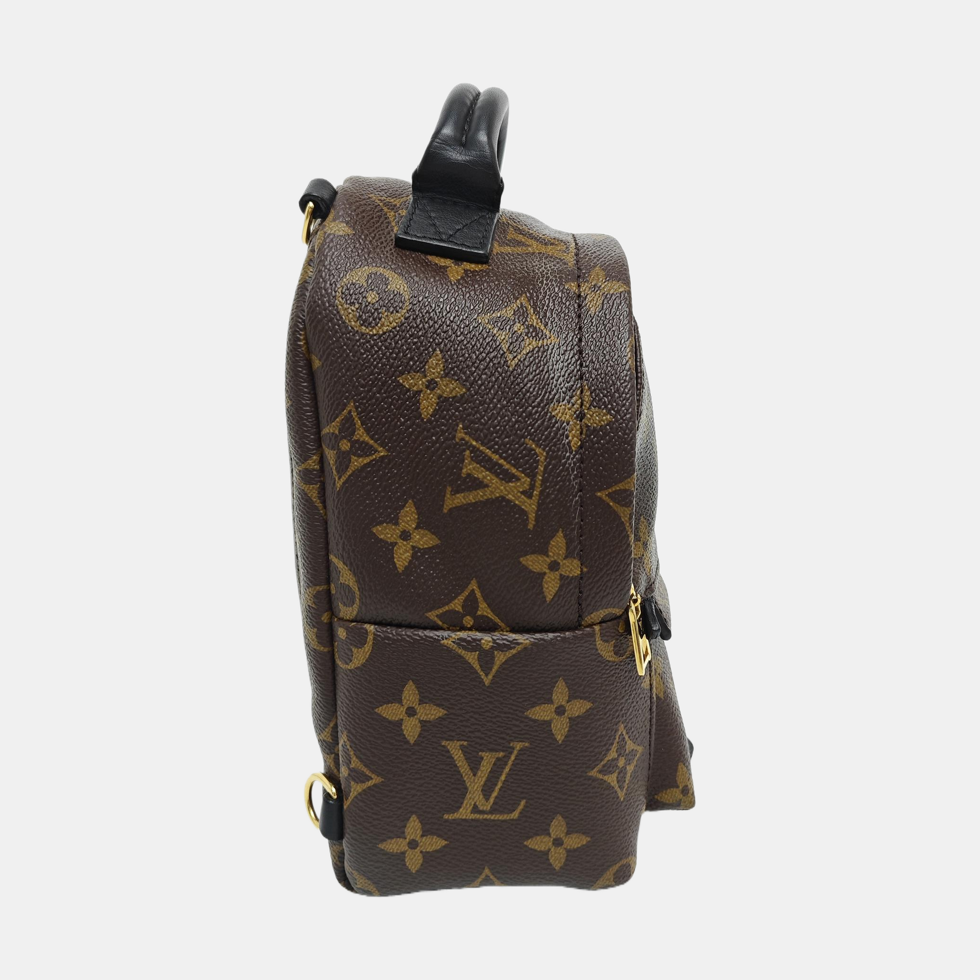 PALM SPRINGS Mini Monogram Coated Canvas Brown