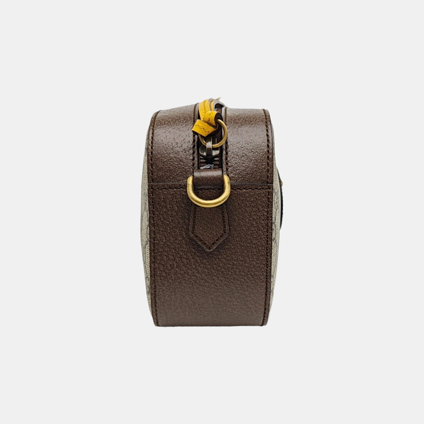 Neo Vintage Monogram Coated Canvas Beige