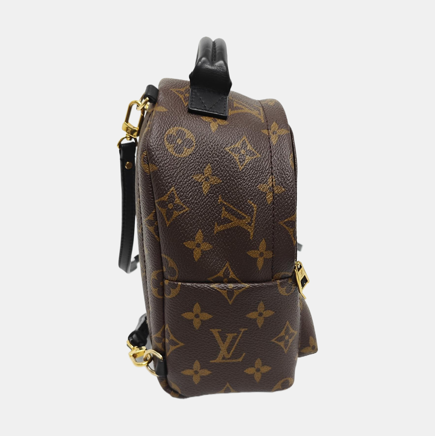 PALM SPRINGS Mini Monogram Coated Canvas Brown