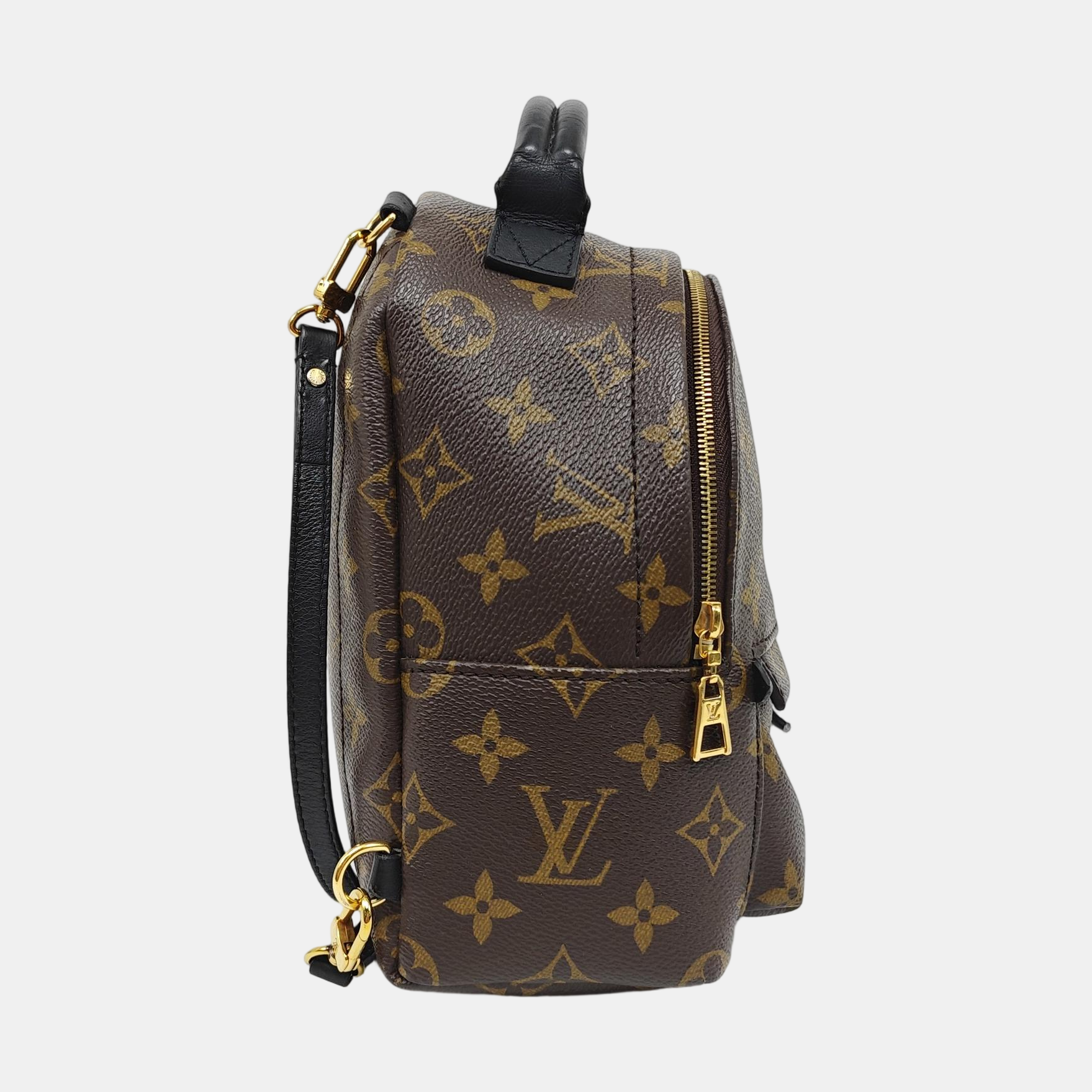PALM SPRINGS Mini Monogram Coated Canvas Brown