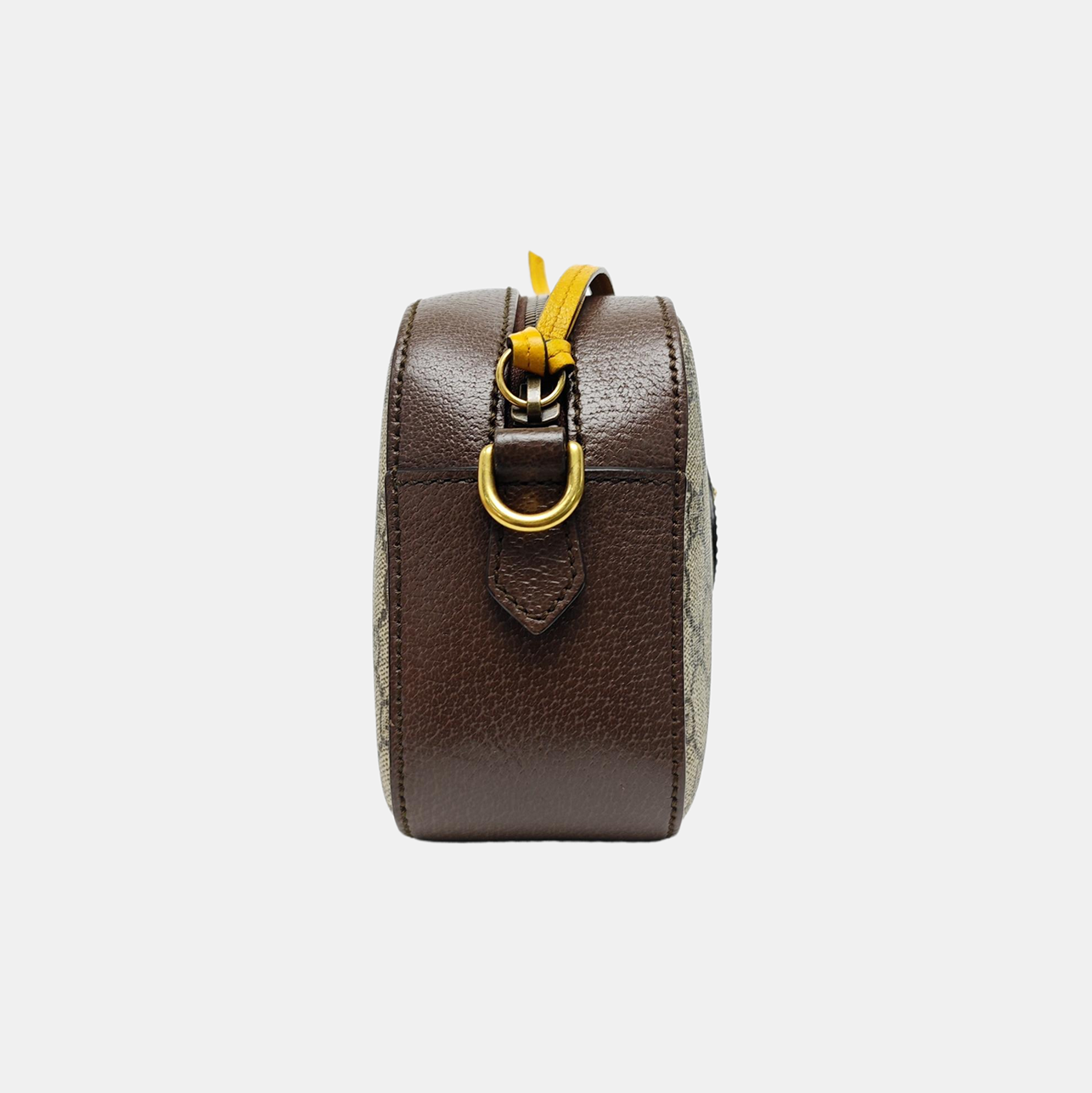 Neo Vintage Monogram Coated Canvas Beige