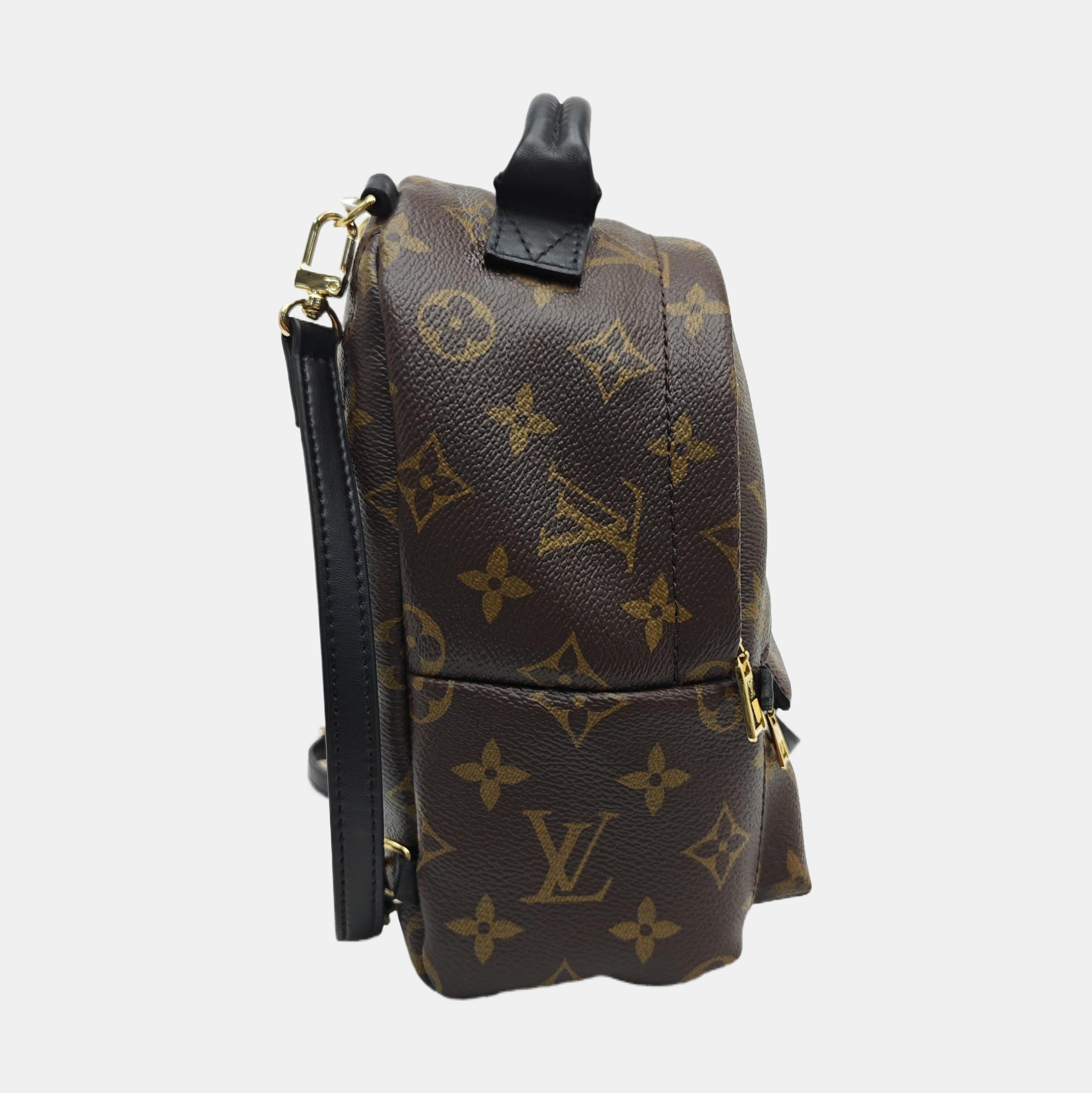 PALM SPRINGS Mini Monogram Coated Canvas Brown