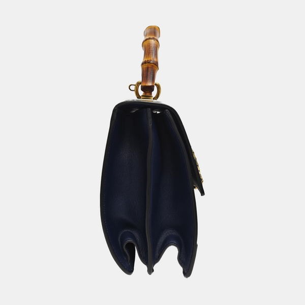Dionysus Medium Calfskin Multicolor