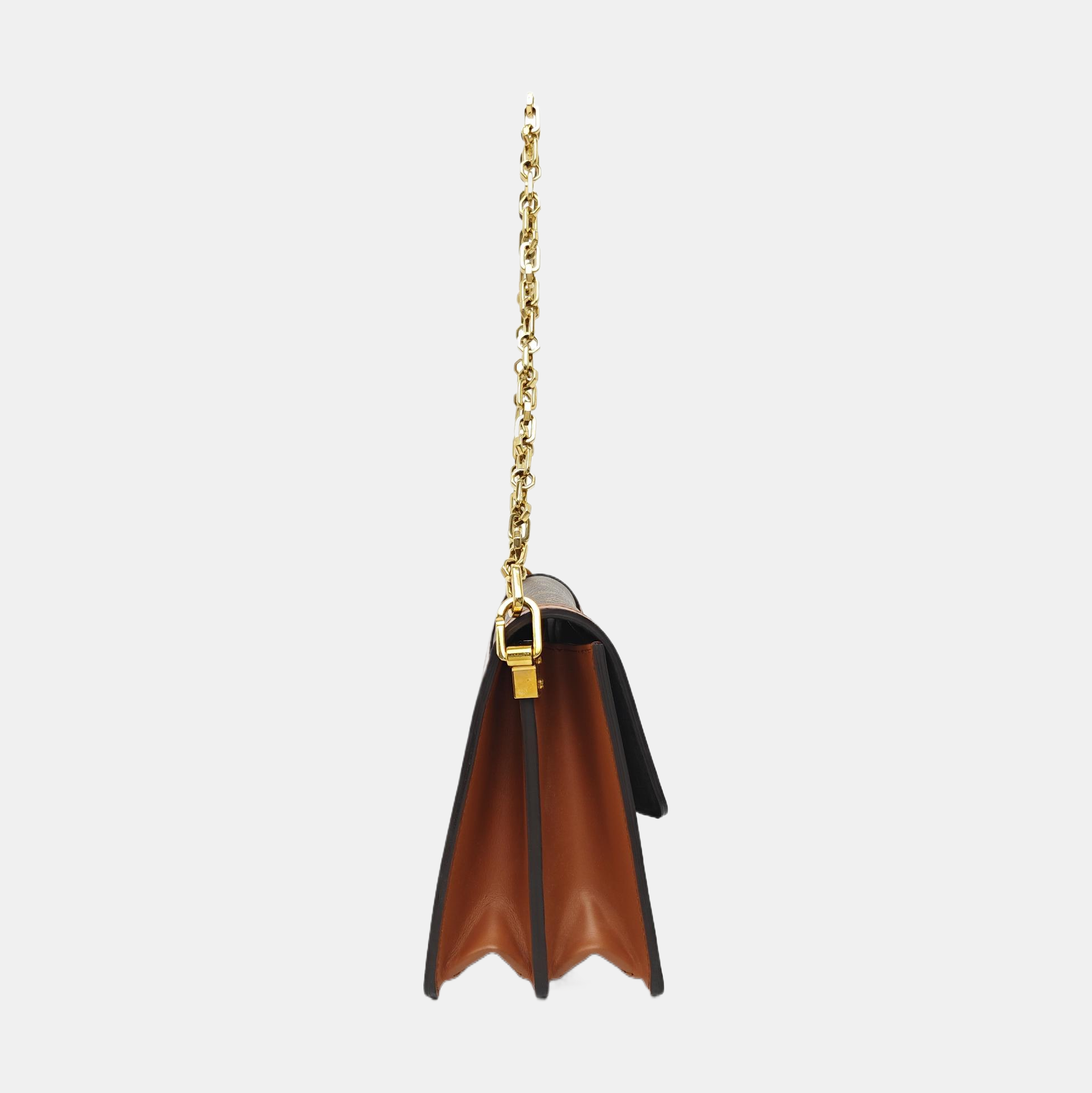 DAUPHINE MM Monogram Coated Canvas Brown
