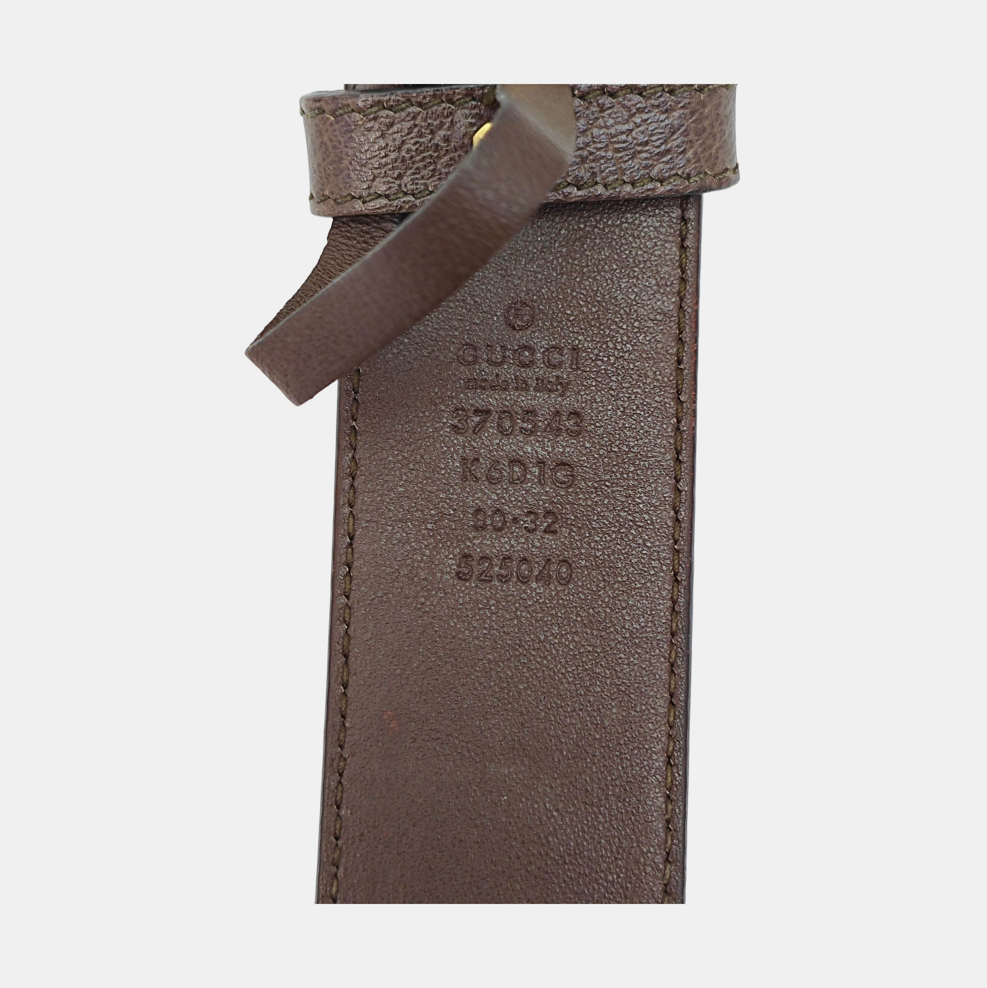 Coated Canvas Belt Brown