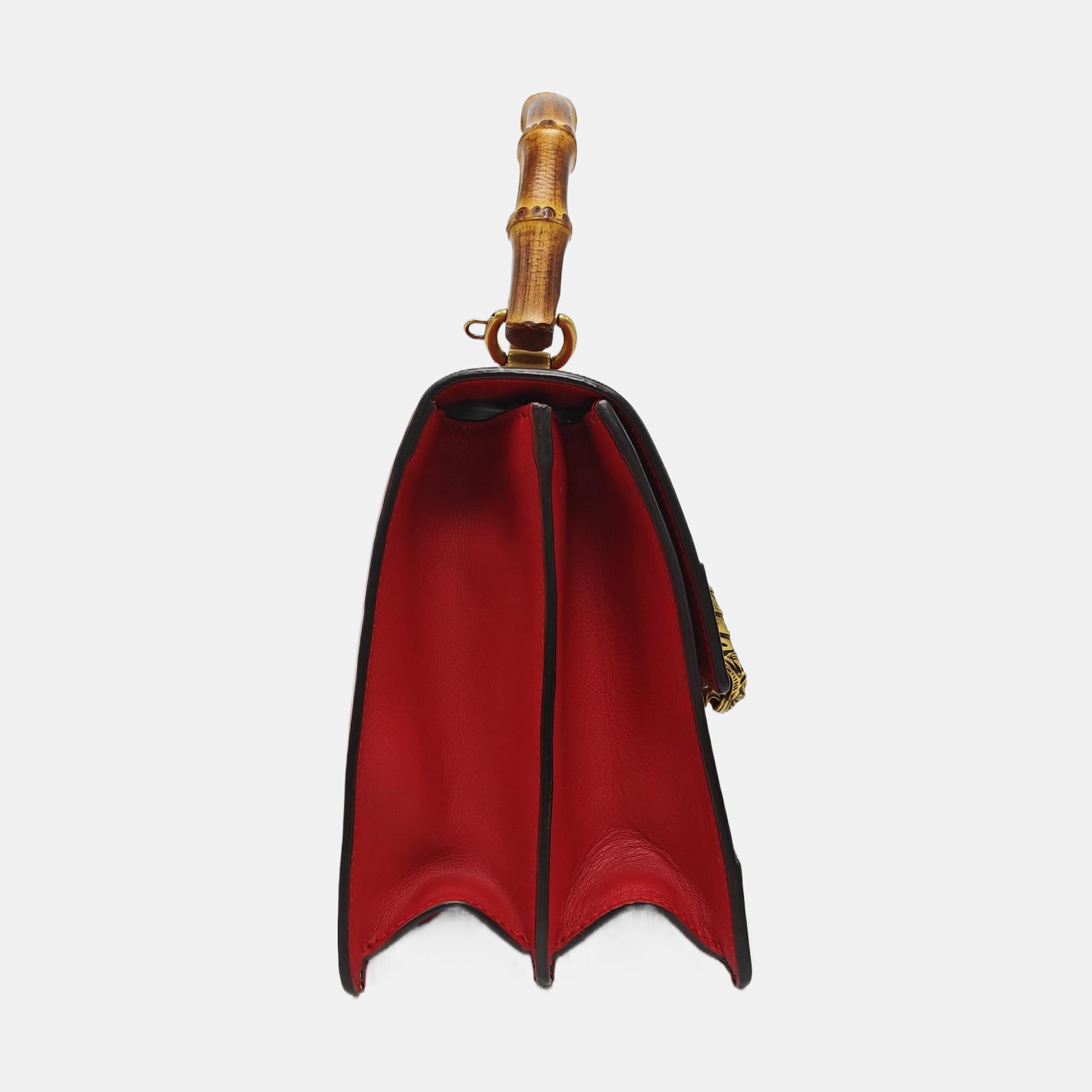 Dionysus Medium Calfskin Red