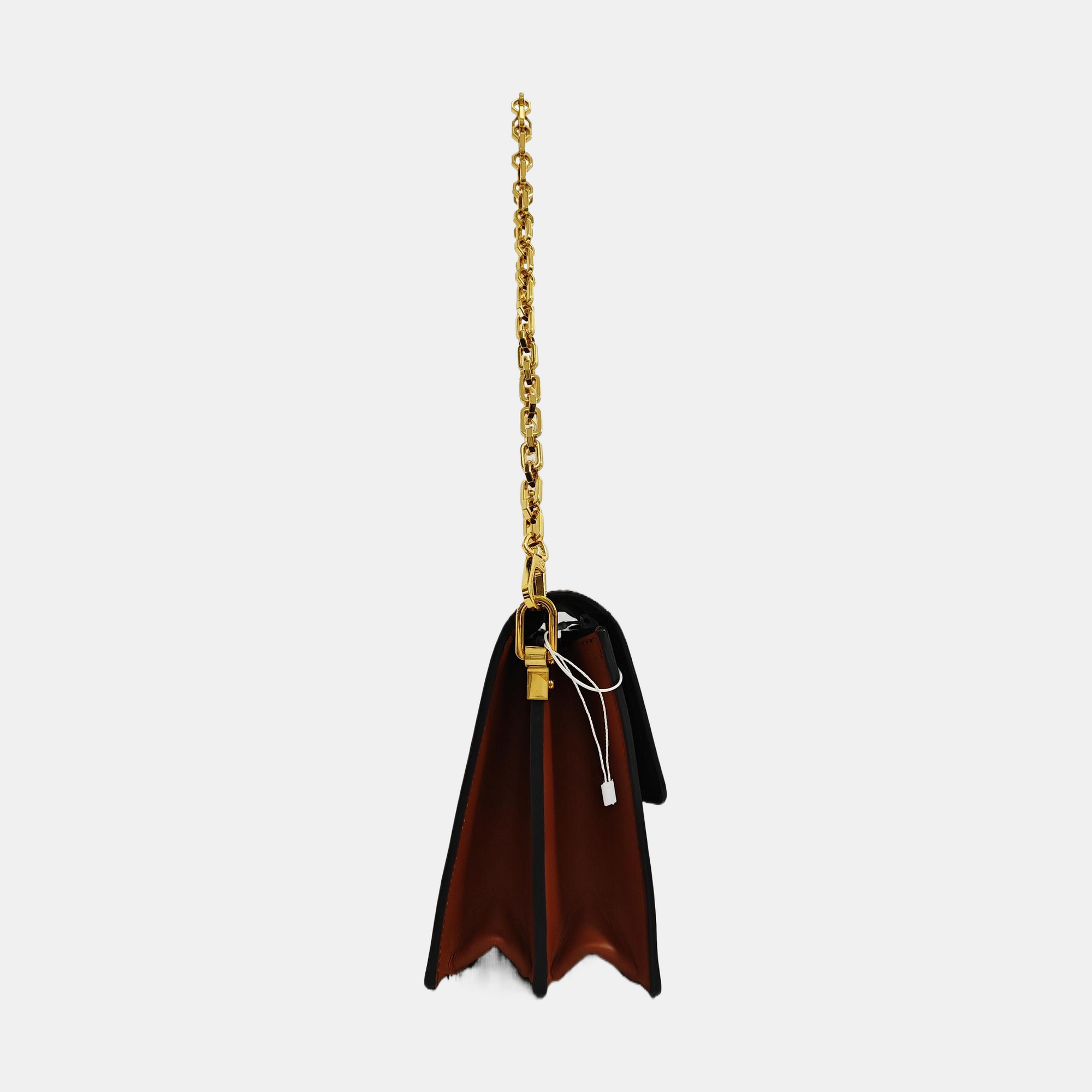 DAUPHINE MM Monogram Coated Canvas Brown