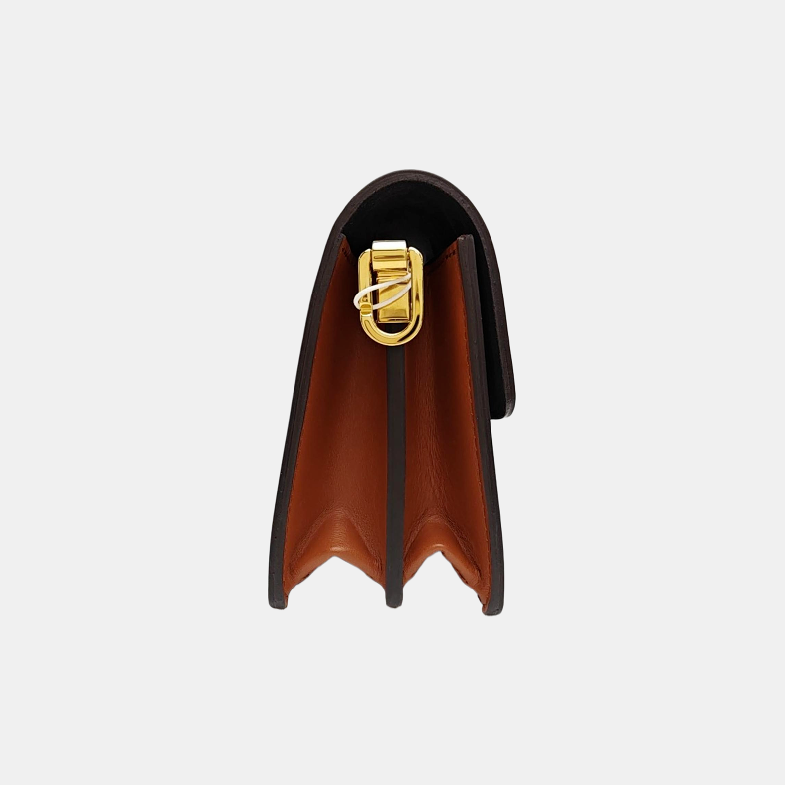 DAUPHINE Mini Coated Canvas Brown