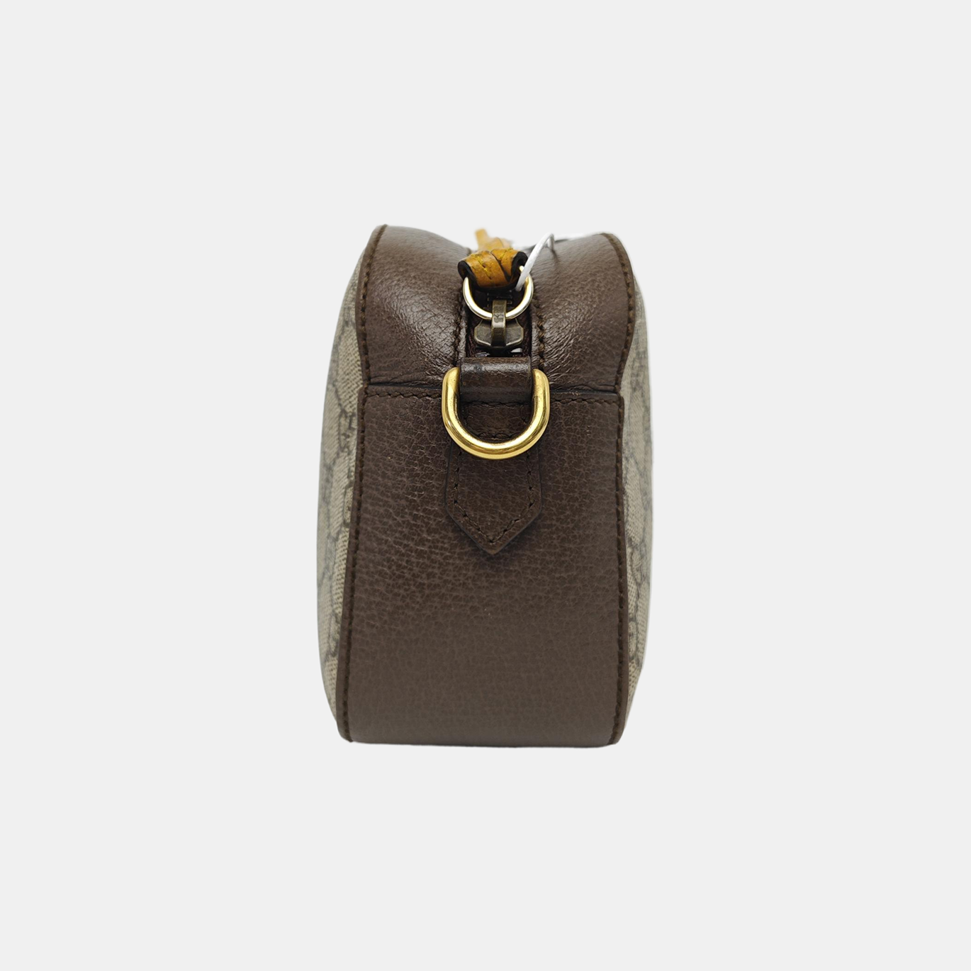 Neo Vintage Monogram Coated Canvas Beige