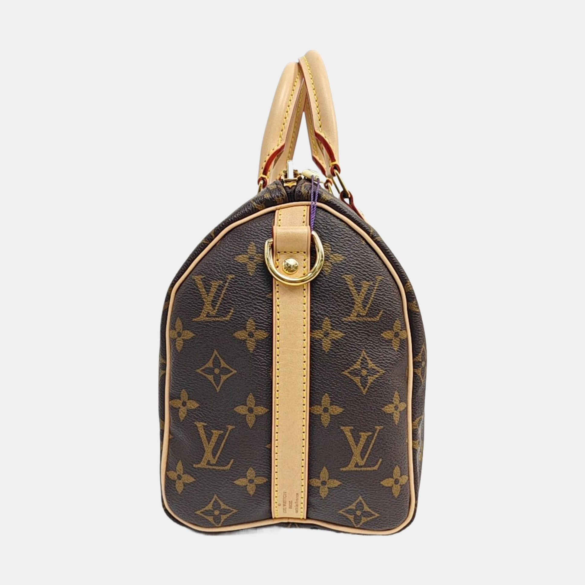 SPEEDY 25 Monogram Coated Canvas Brown