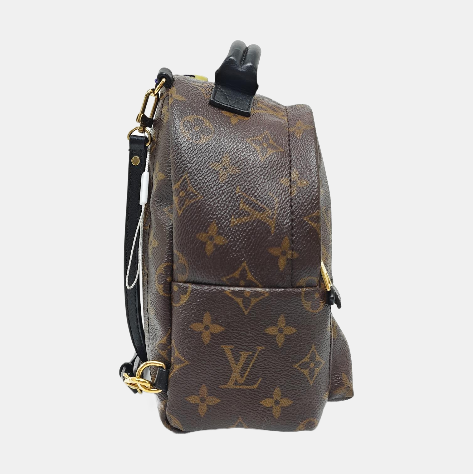 PALM SPRINGS Mini Monogram Coated Canvas Brown