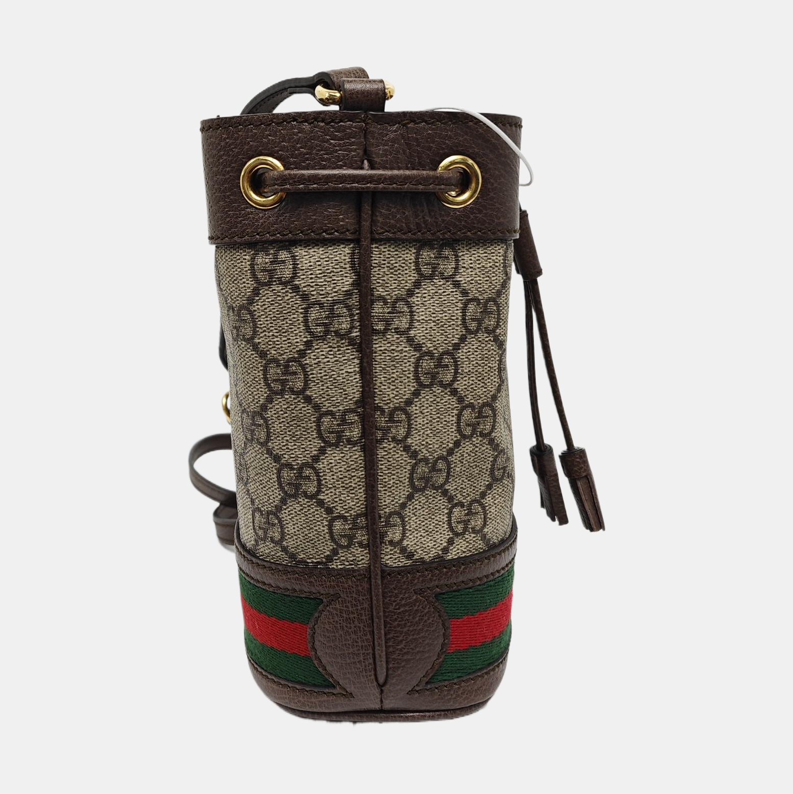 Ophidia Mini Monogram Coated Canvas Beige