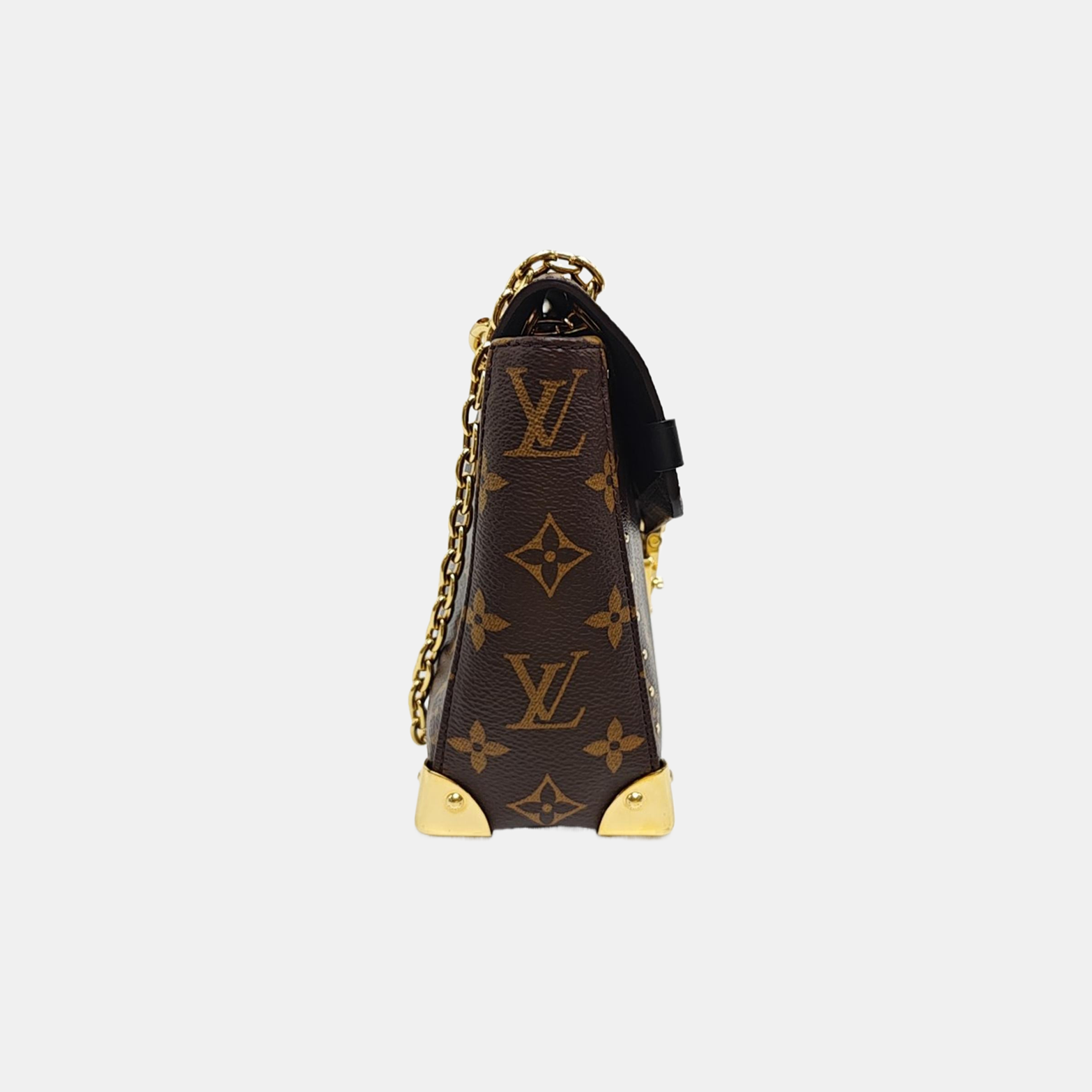 TRUNKIE Monogram Coated Canvas Brown