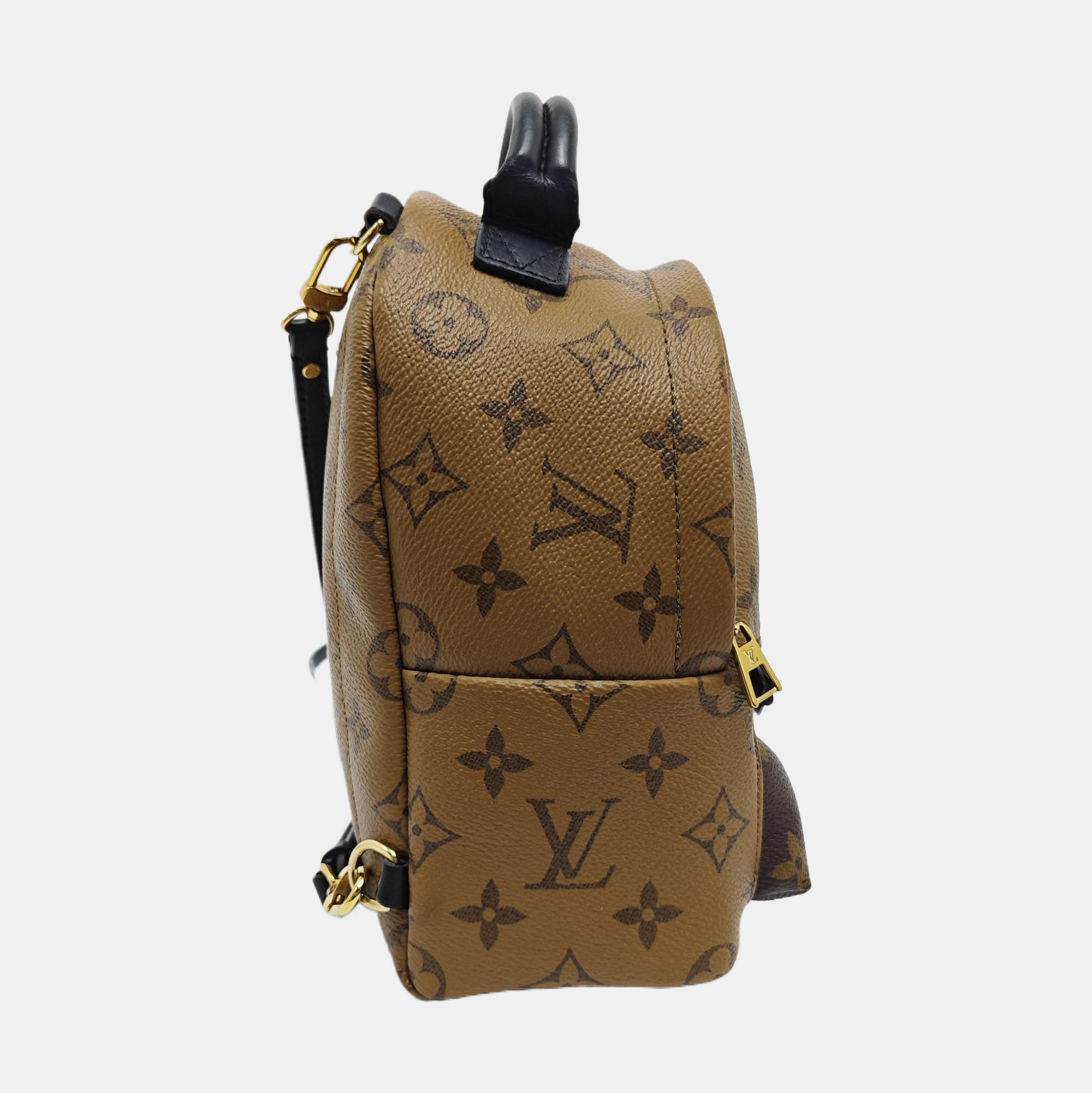 PALM SPRINGS Mini Monogram Coated Canvas Brown