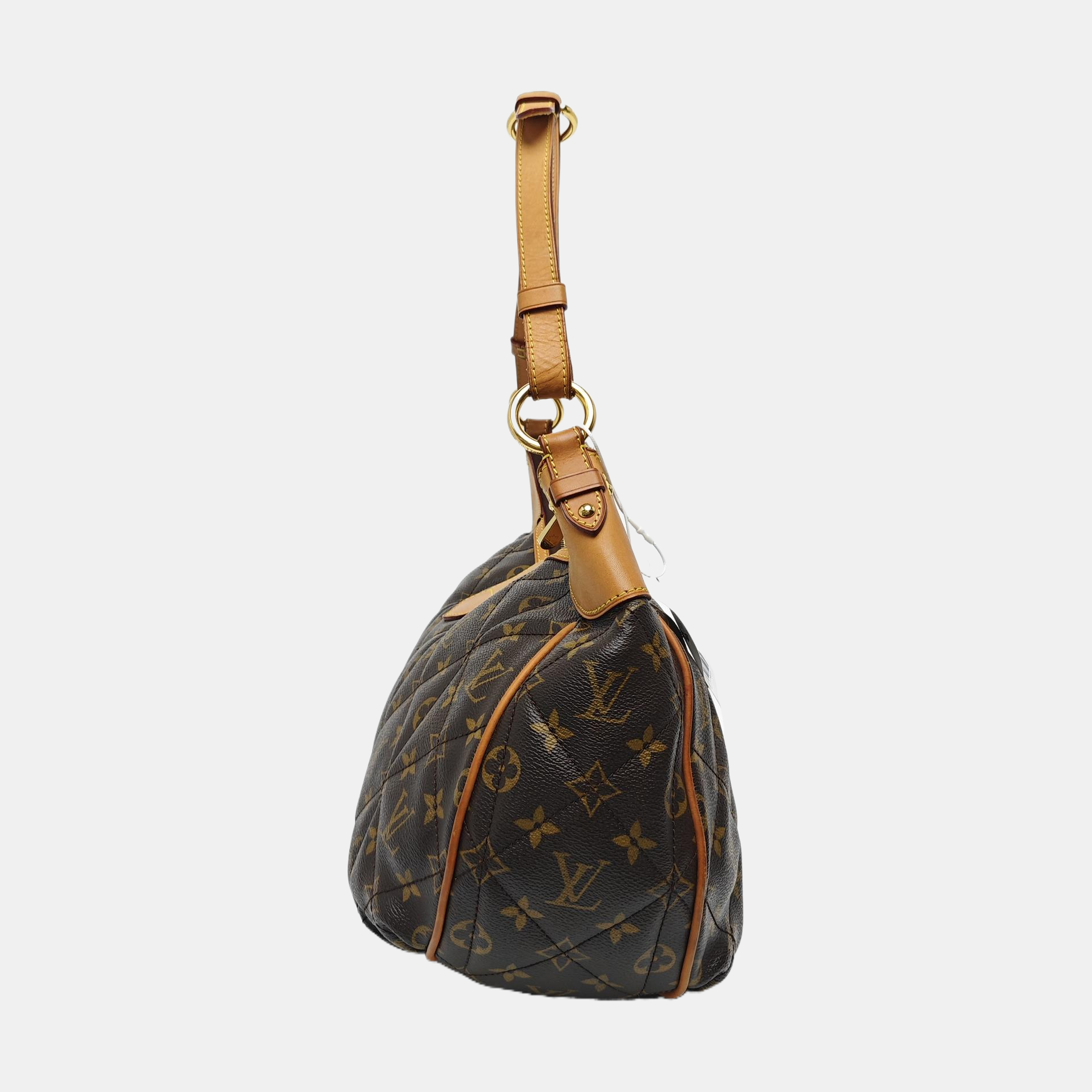 ETOILE CITY GM Monogram Coated Canvas Brown