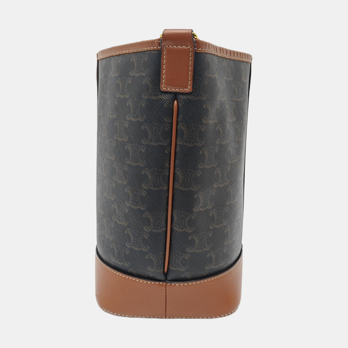 TRIOMPHE CANVAS Small Coated Canvas Brown