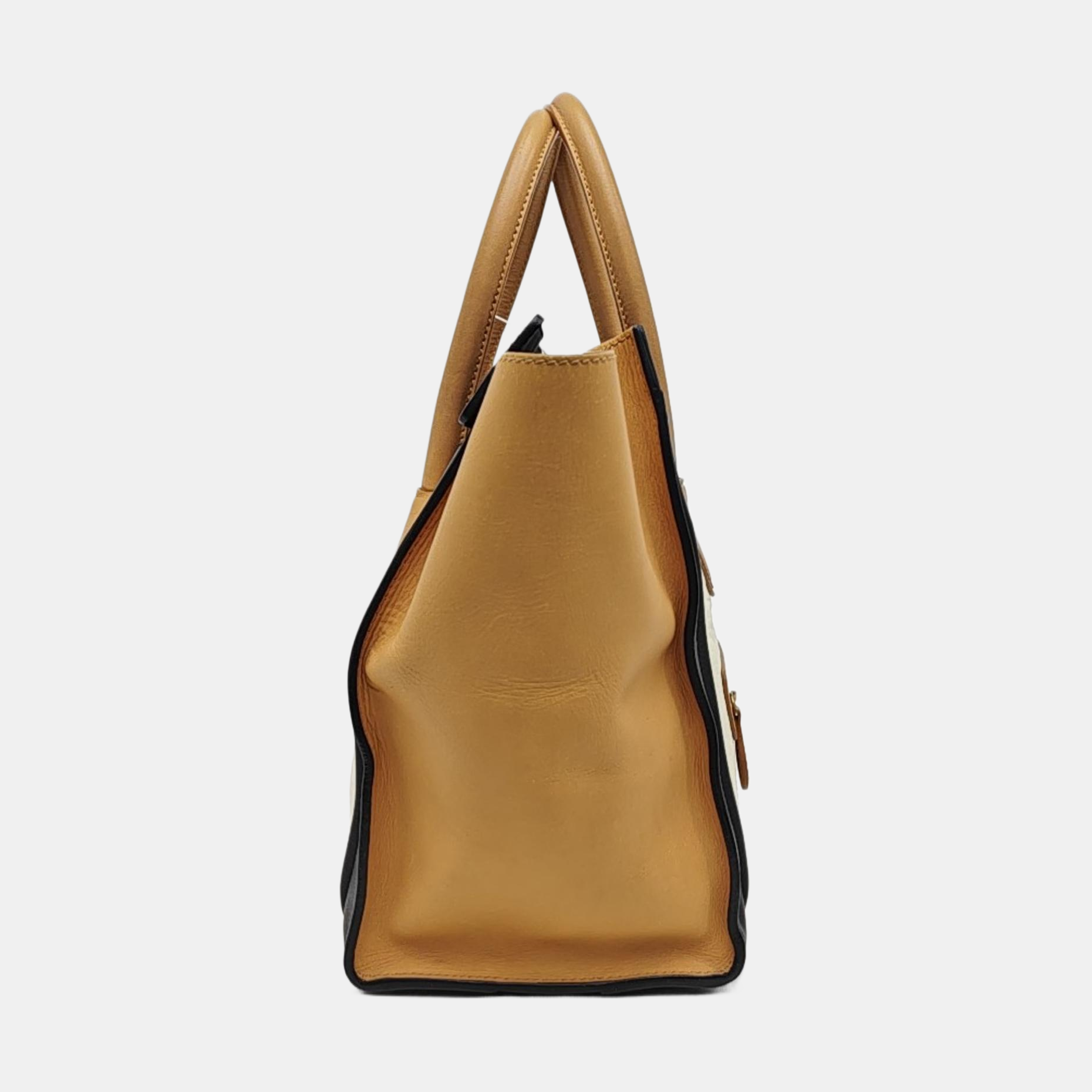 LUGGAGE Mini Calfskin Multicolor