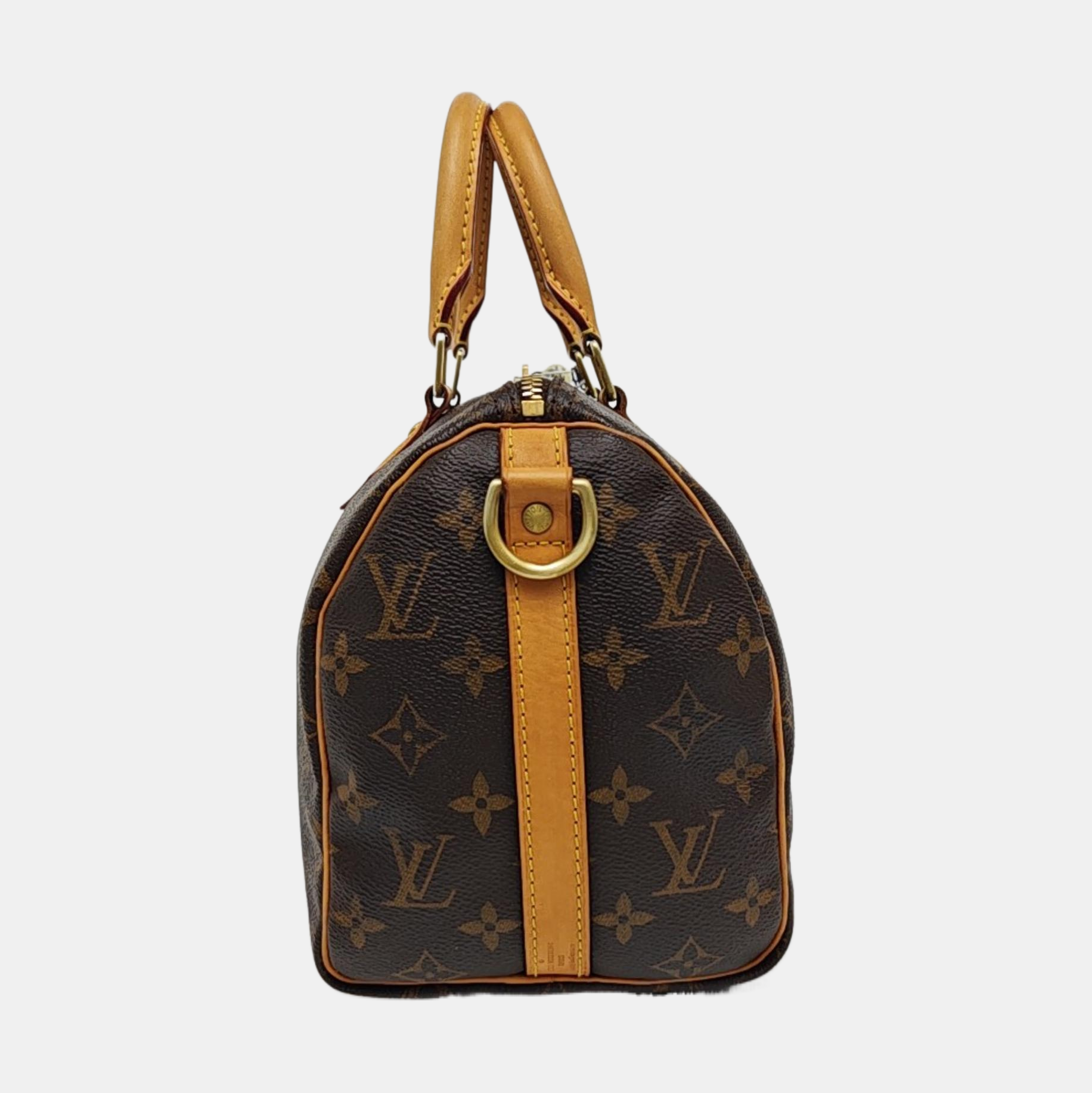 SPEEDY 25 Monogram Coated Canvas Brown