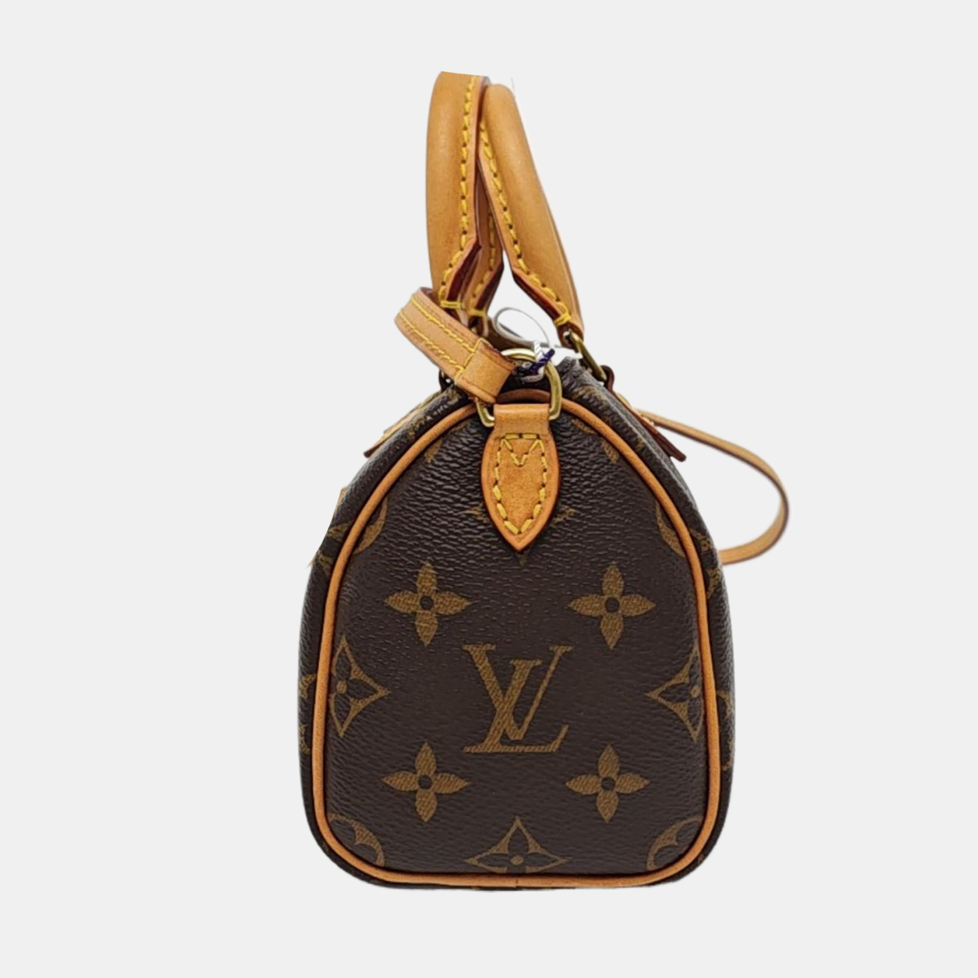 SPEEDY Nano Monogram Coated Canvas Brown