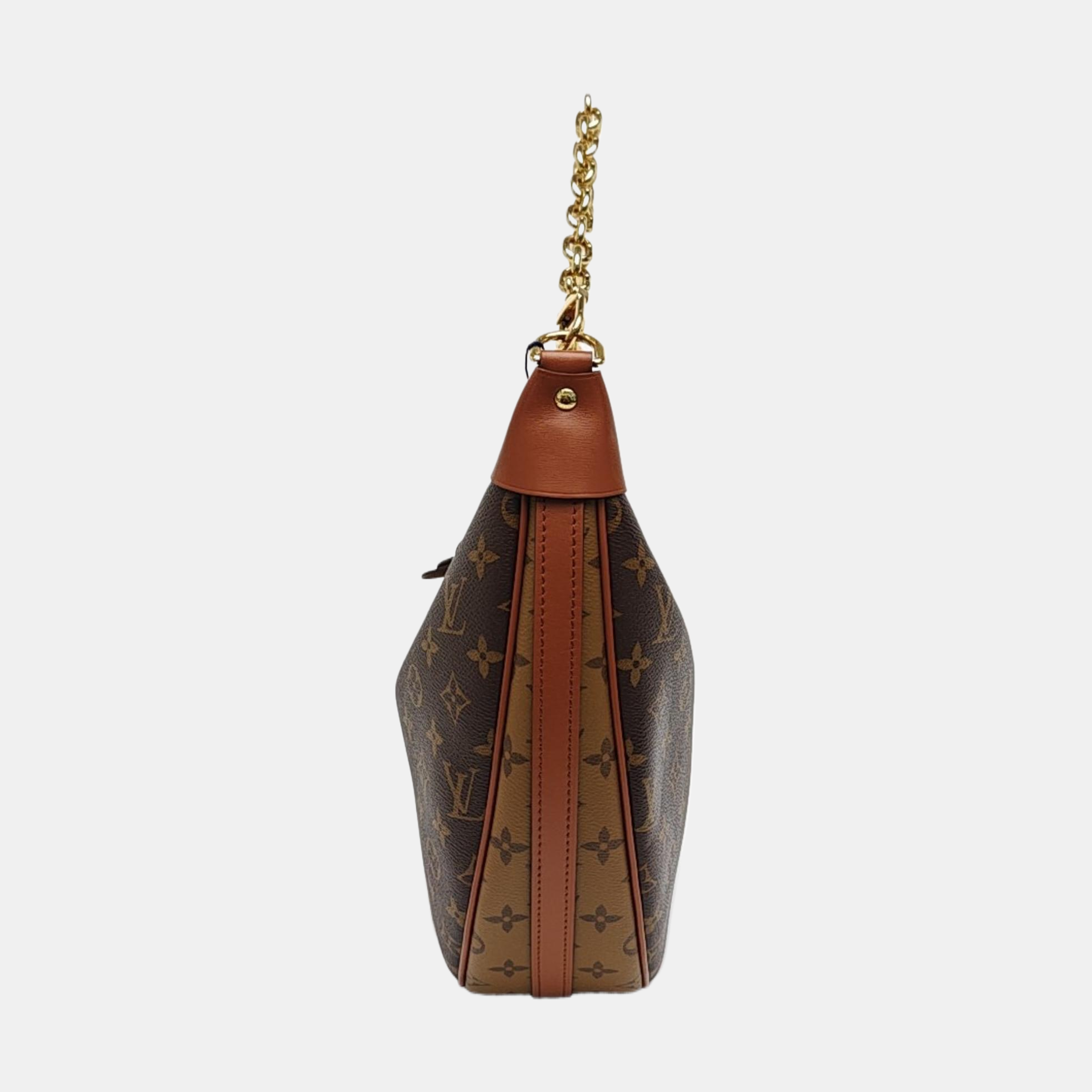 LOOP HOBO Monogram Coated Canvas Brown