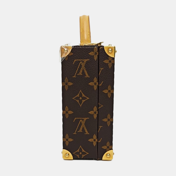 Mini Monogram Brown