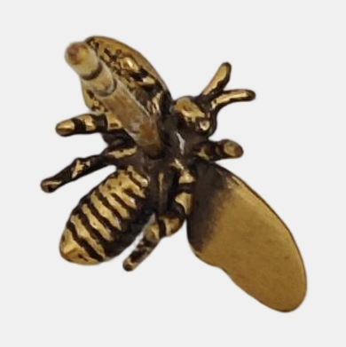 J'adior Metal Gold Stud Earrings