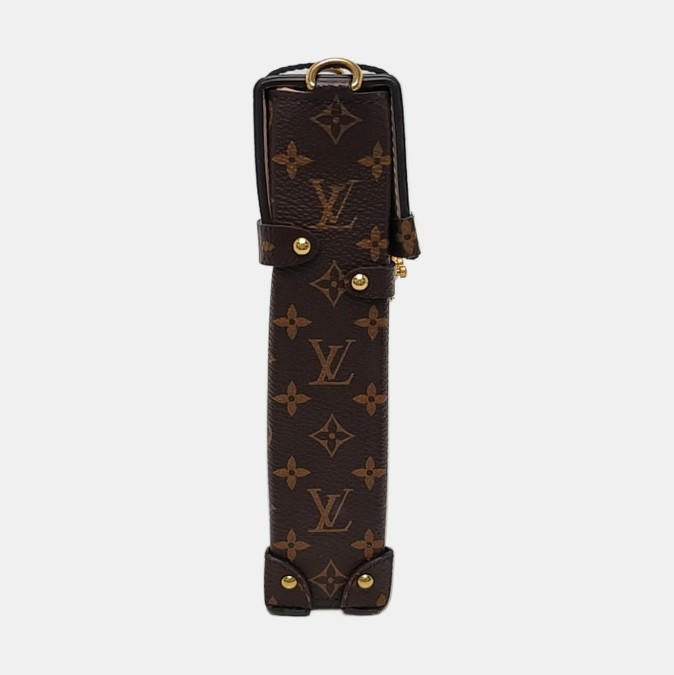 TRUNK Monogram Coated Canvas Brown