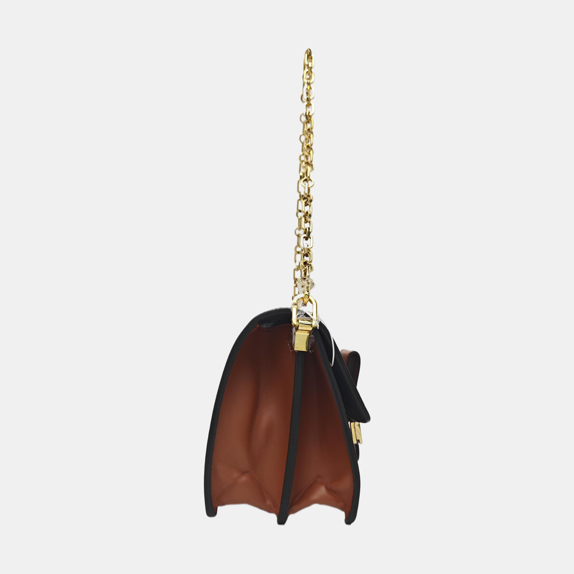 DAUPHINE MM Monogram Coated Canvas Brown