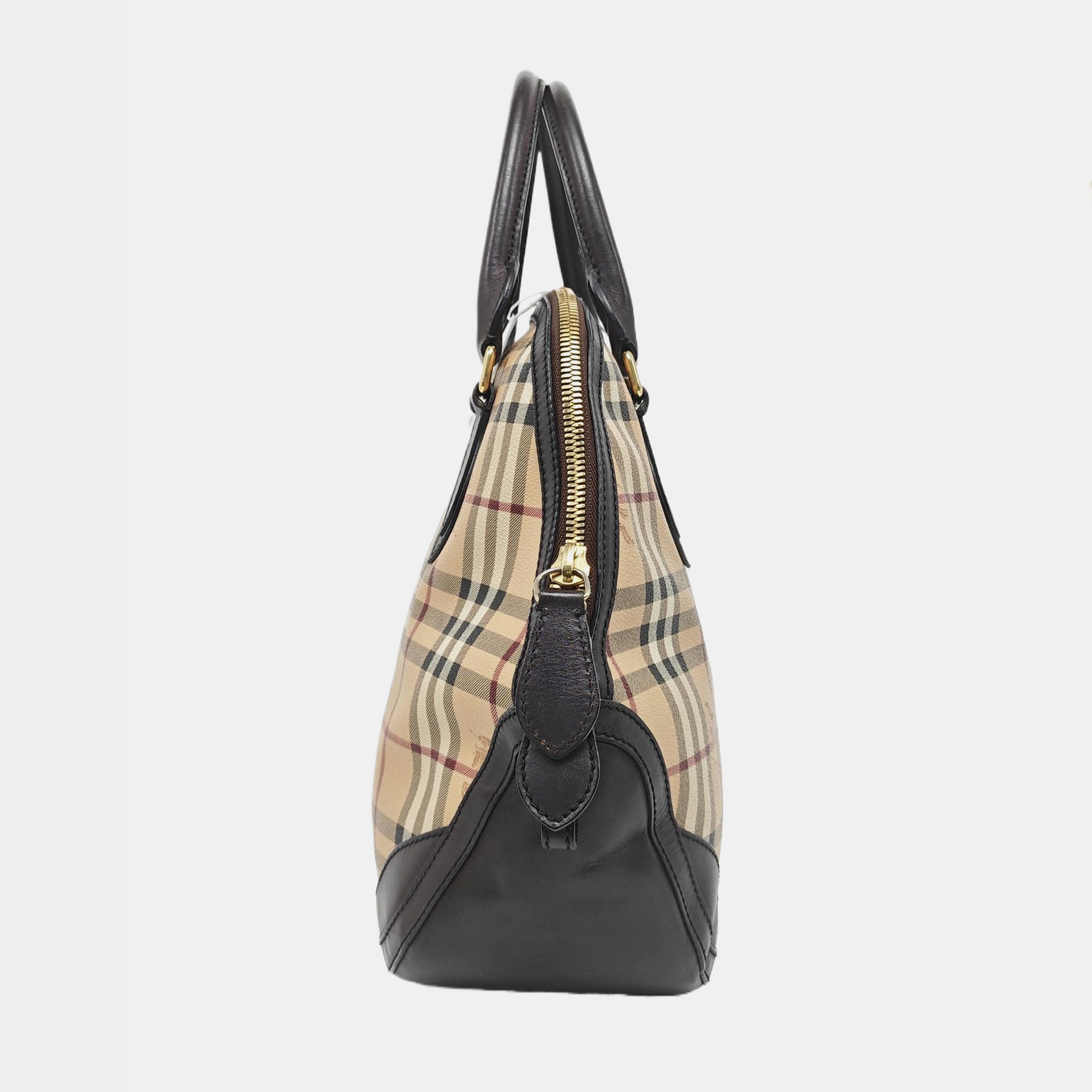 Sartorial Orchard Coated Canvas Multicolor