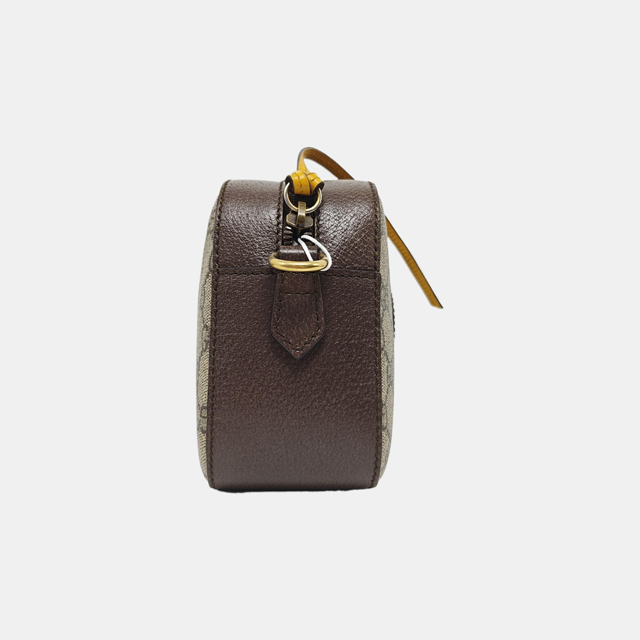 Neo Vintage Monogram Coated Canvas Beige
