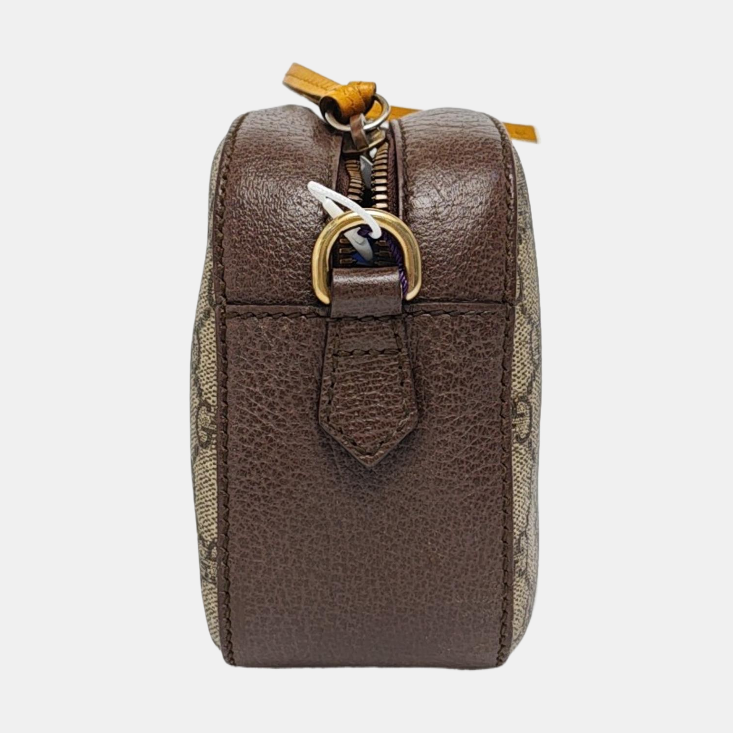 Neo Vintage Monogram Coated Canvas Beige