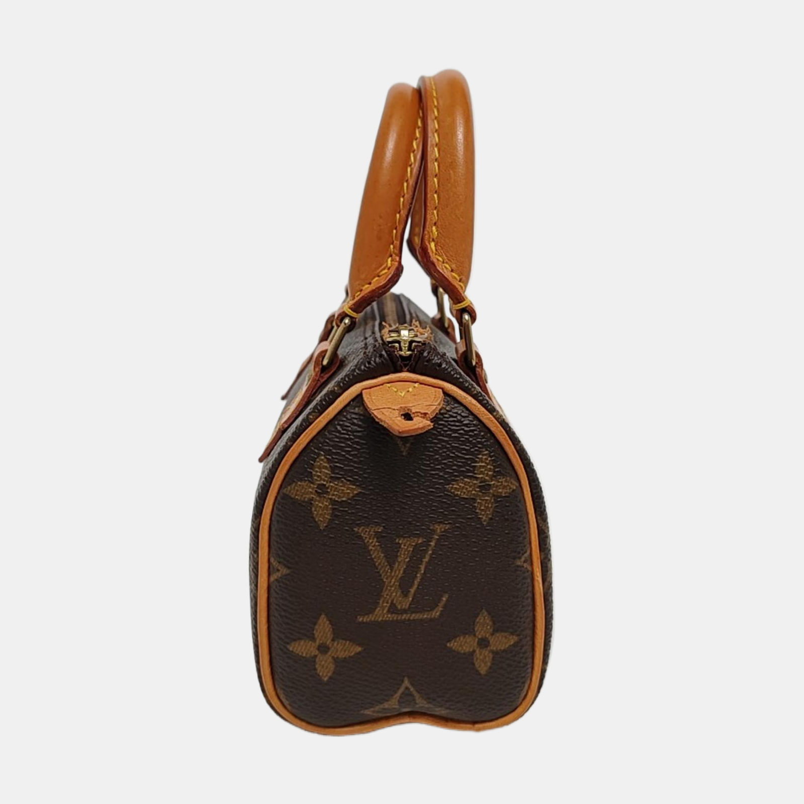 SPEEDY Nano Monogram Coated Canvas Brown