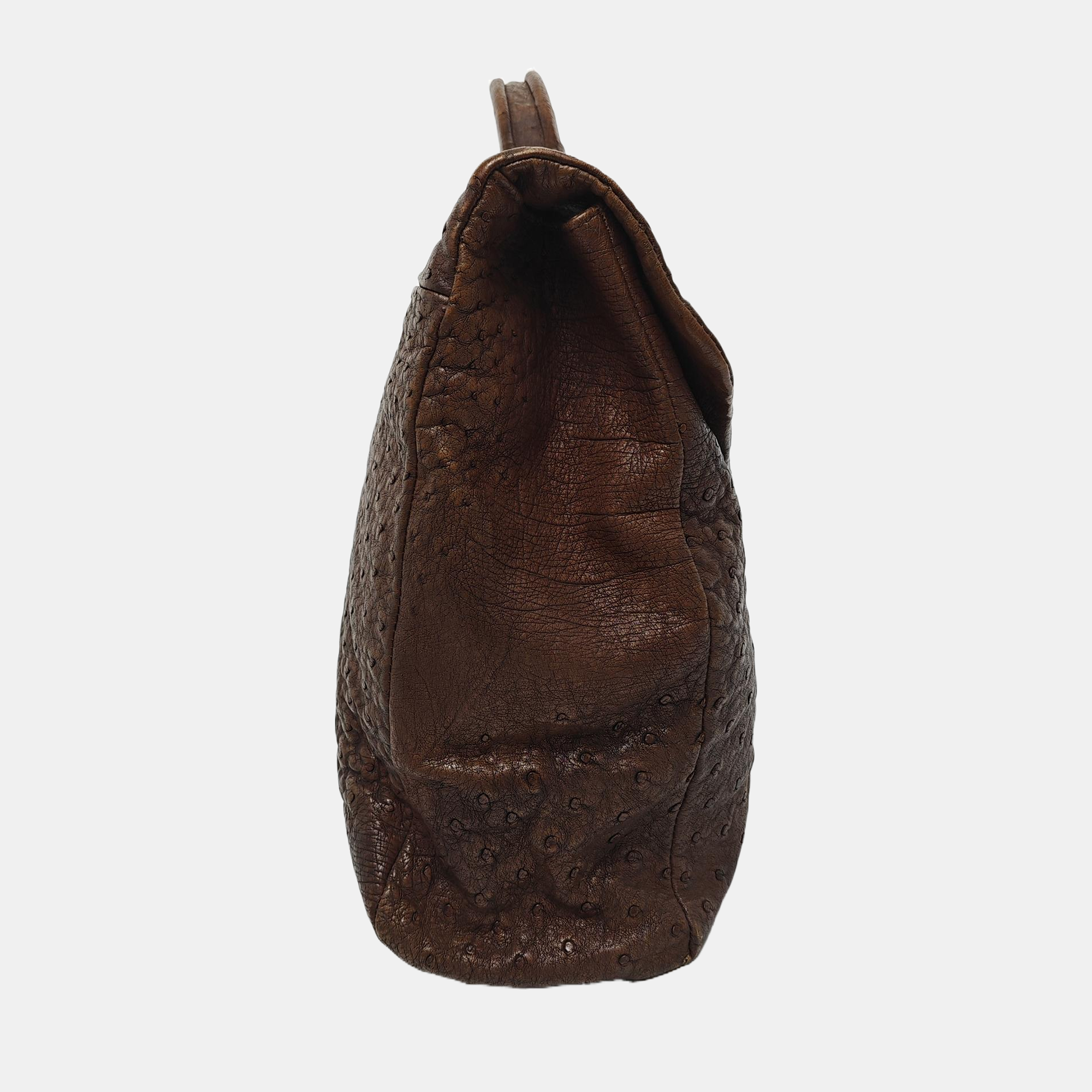 Ostrich Brown