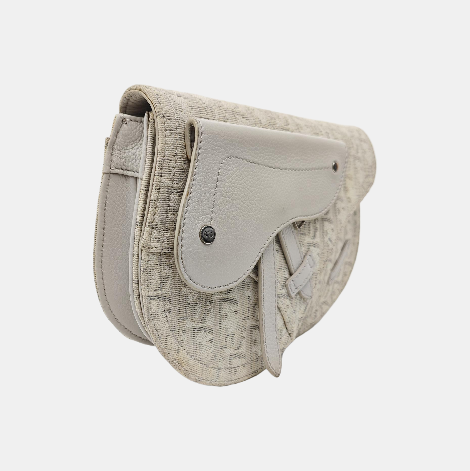Saddle Small Oblique Canvas Beige