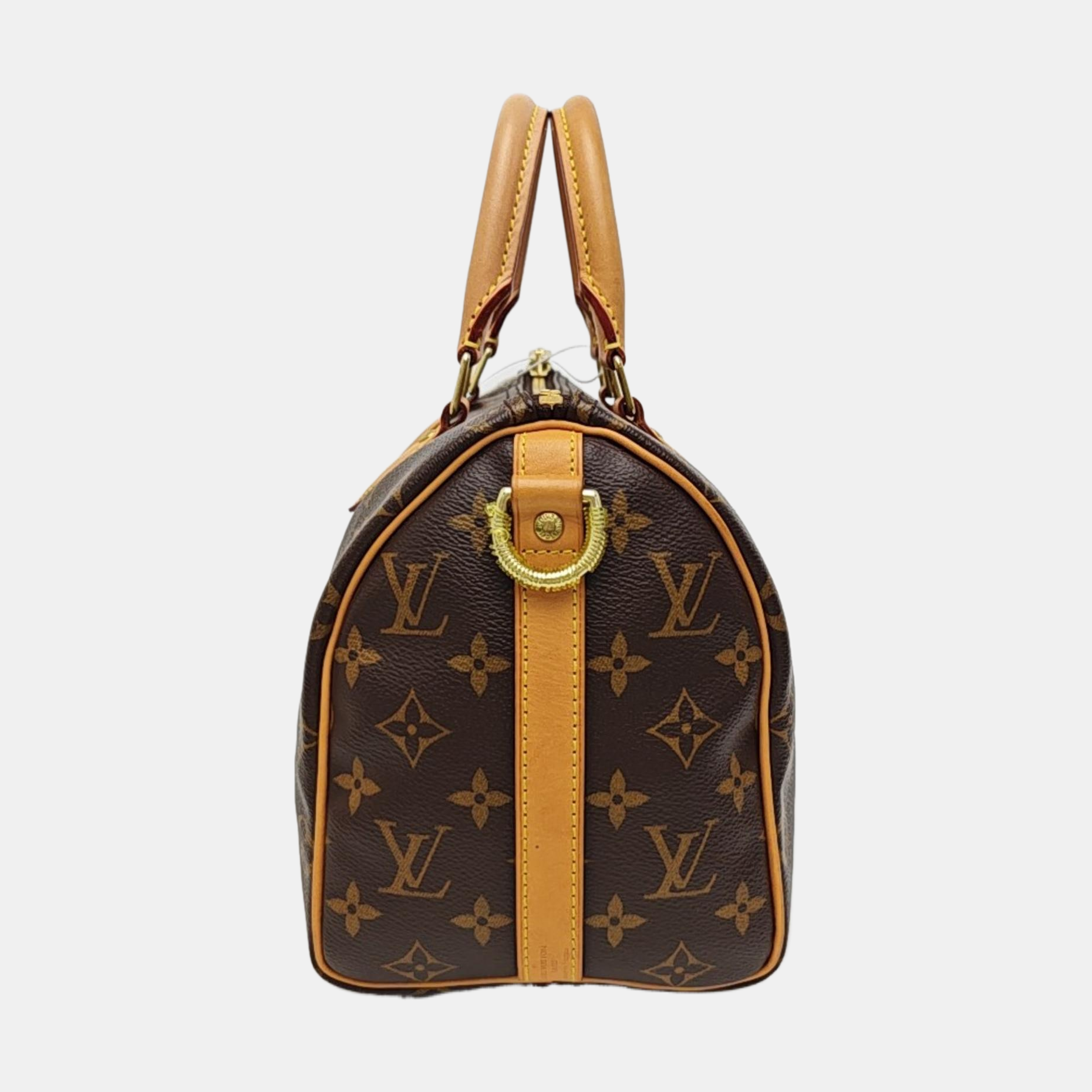SPEEDY 25 Monogram Coated Canvas Brown