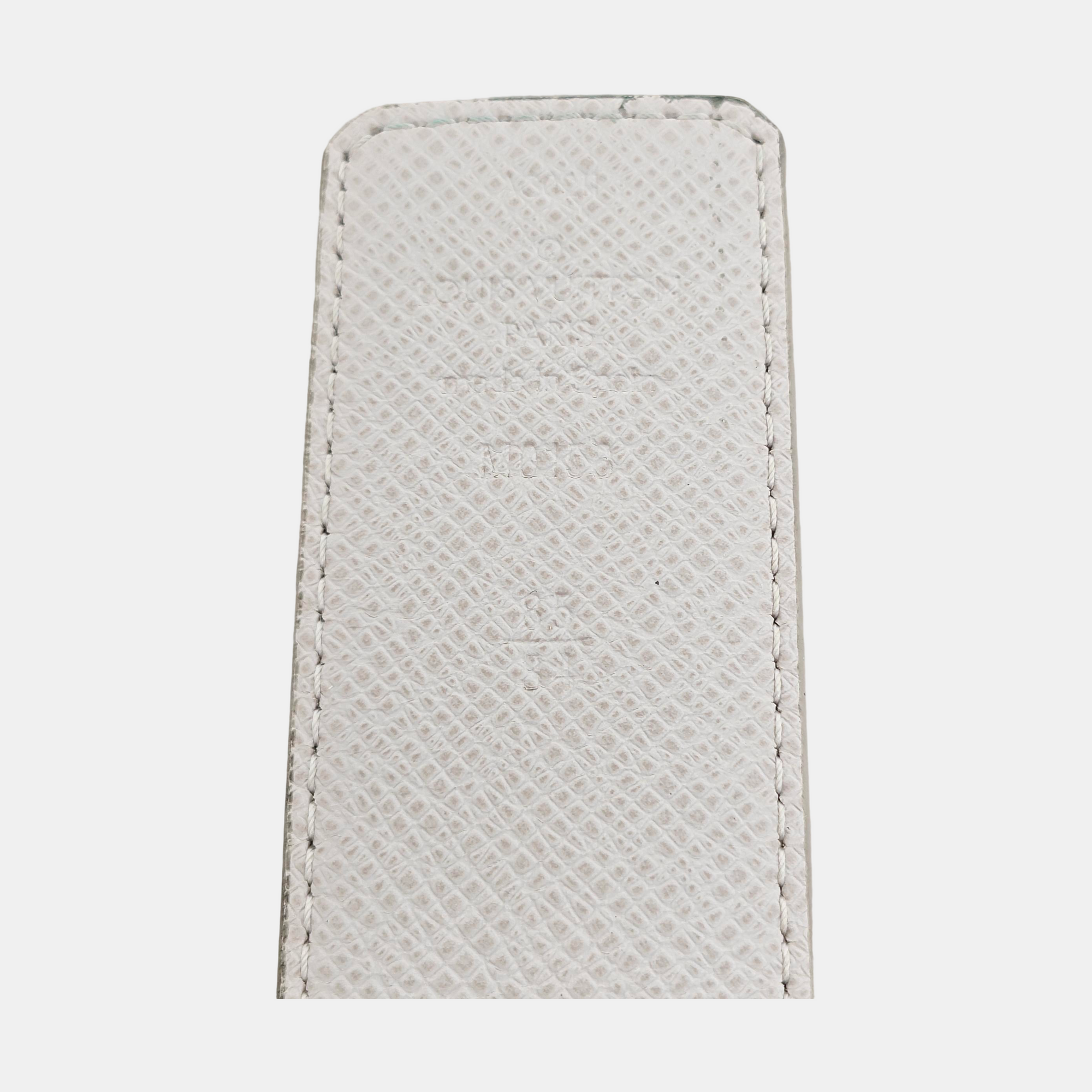 Coated Canvas Belt Gray