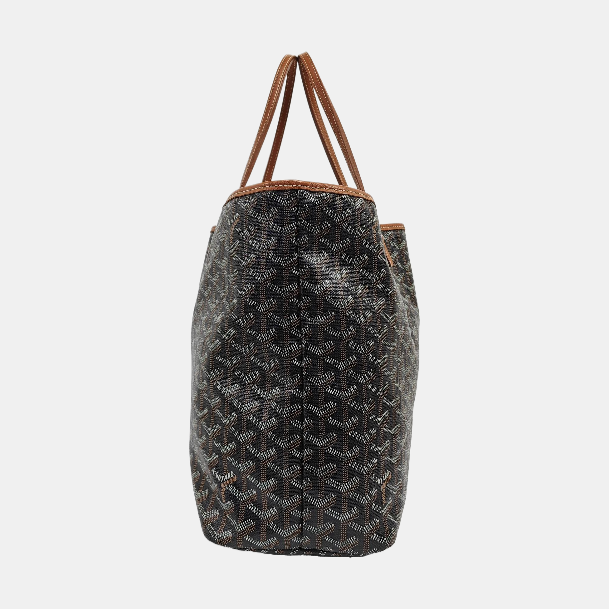 Saint Louis PM Coated Canvas Black