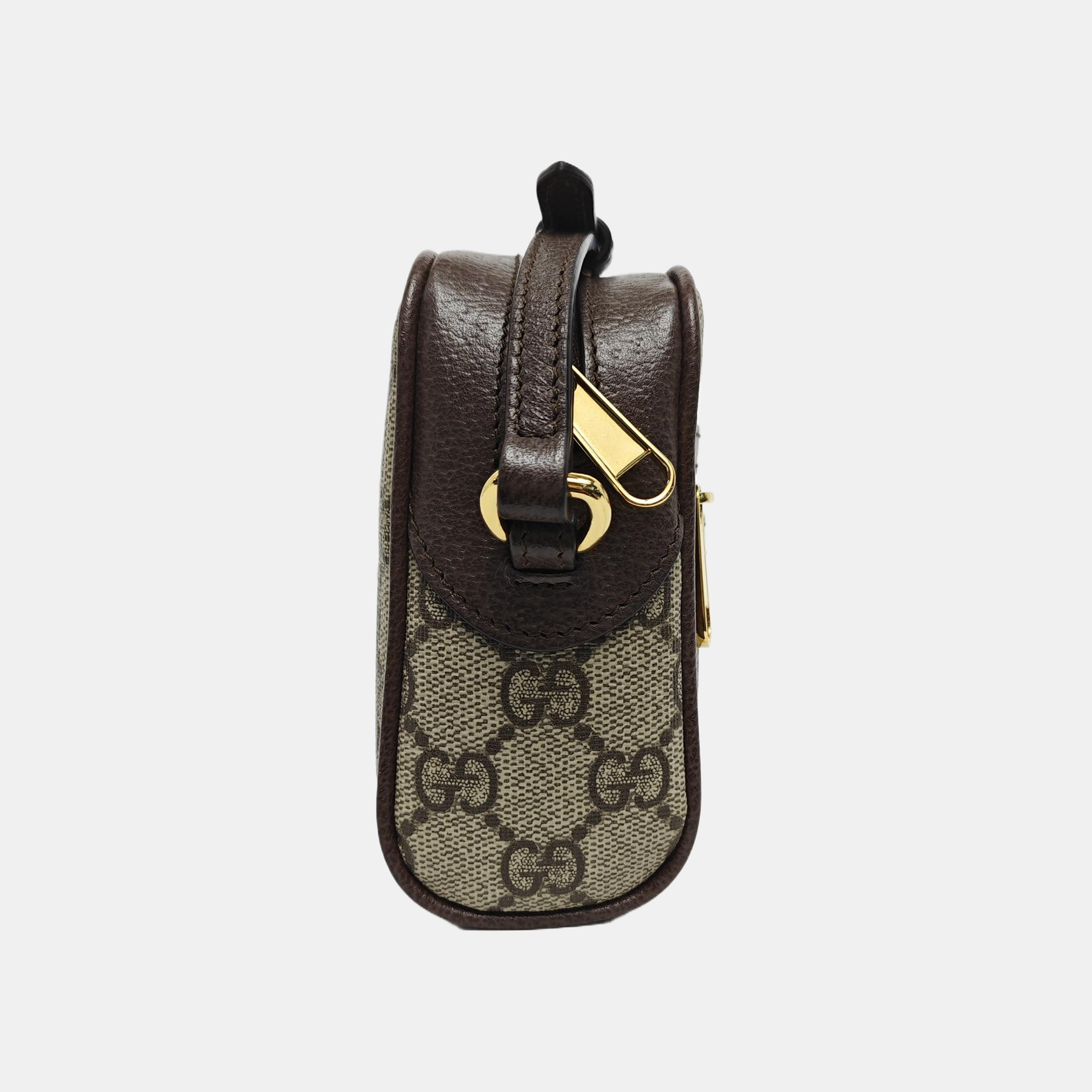 Ophidia Mini Monogram Coated Canvas Beige