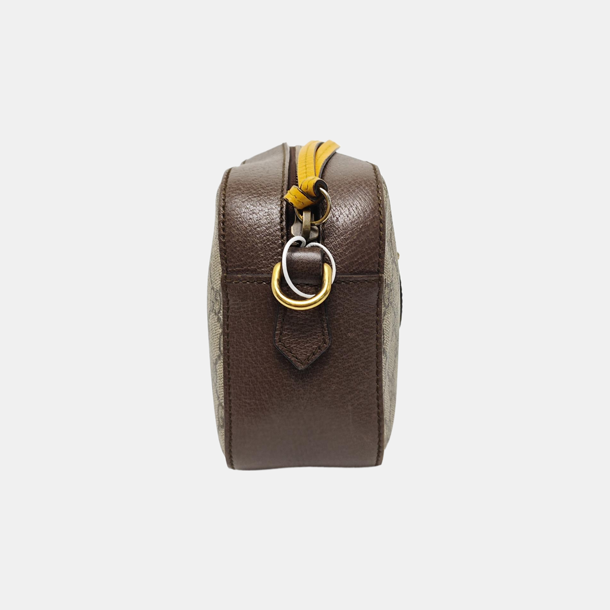 Neo Vintage Monogram Coated Canvas Beige