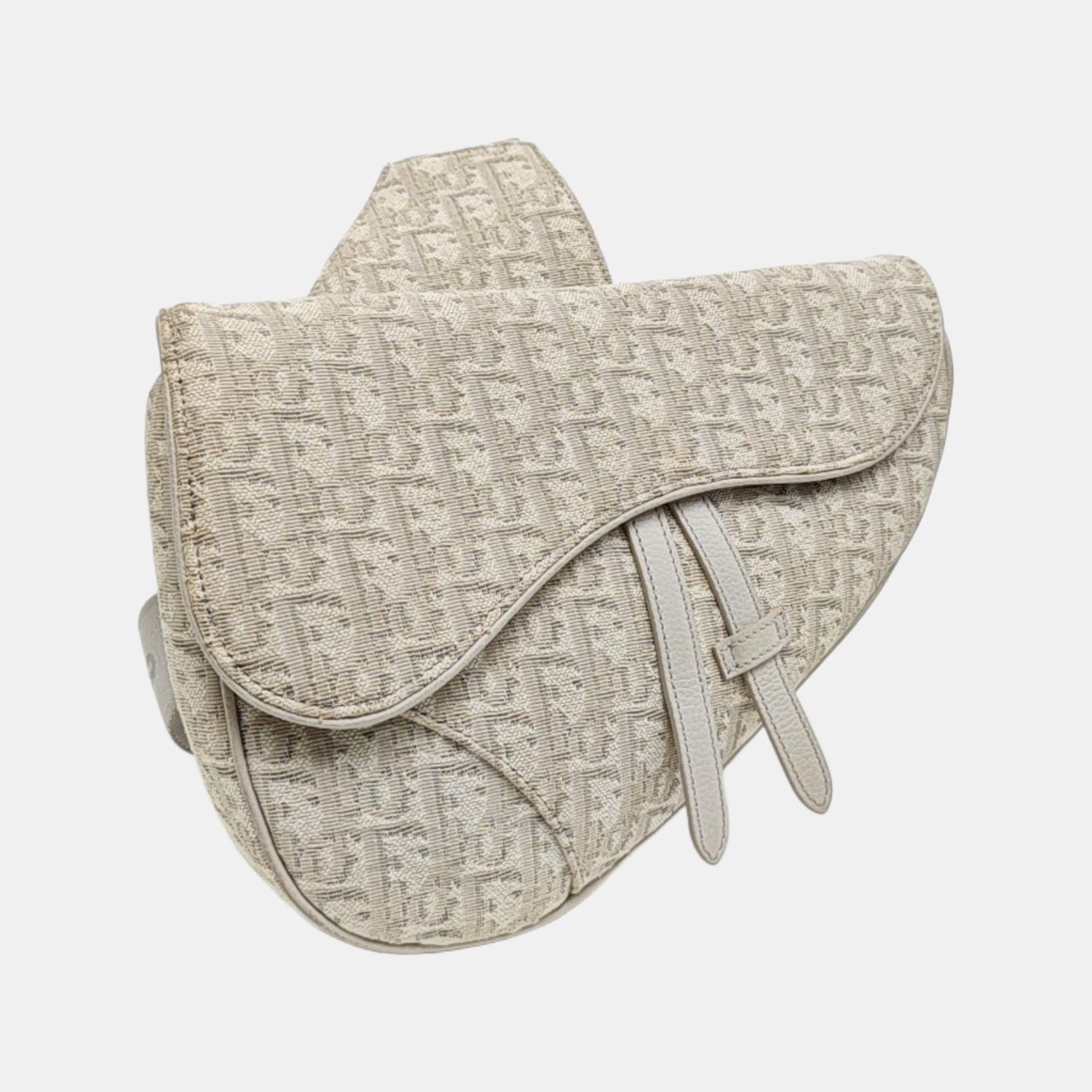 Saddle Medium Canvas Beige