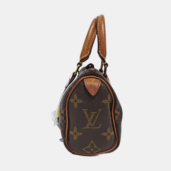 SPEEDY Nano Monogram Coated Canvas Brown