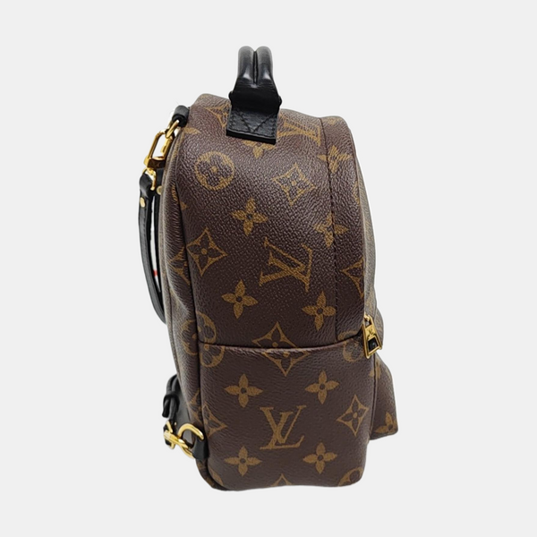 PALM SPRINGS Mini Monogram Coated Canvas Brown