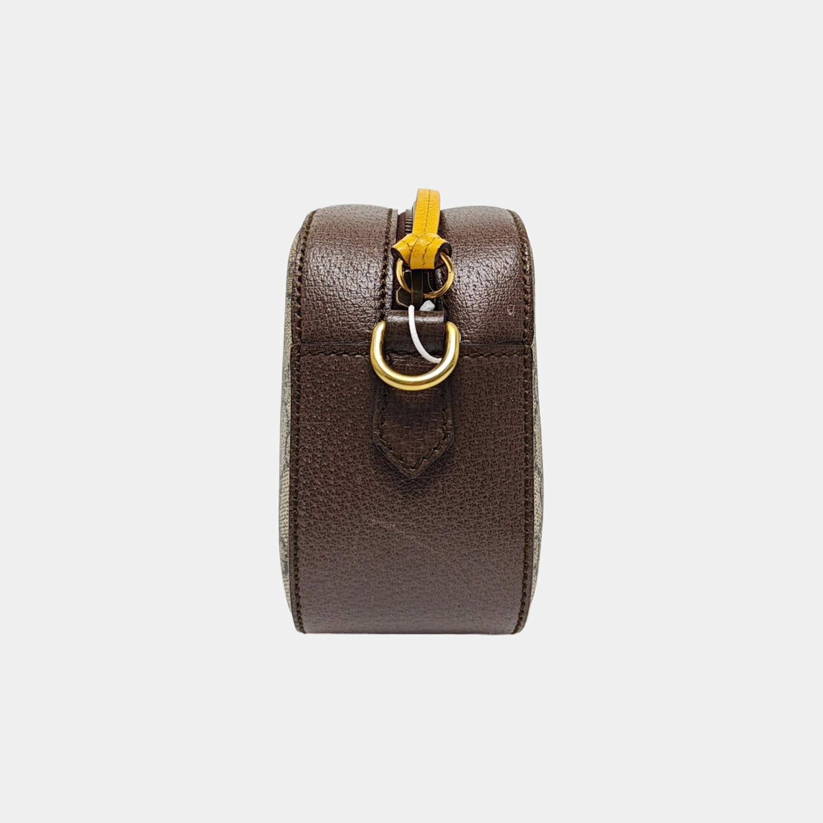 Neo Vintage Monogram Coated Canvas Beige