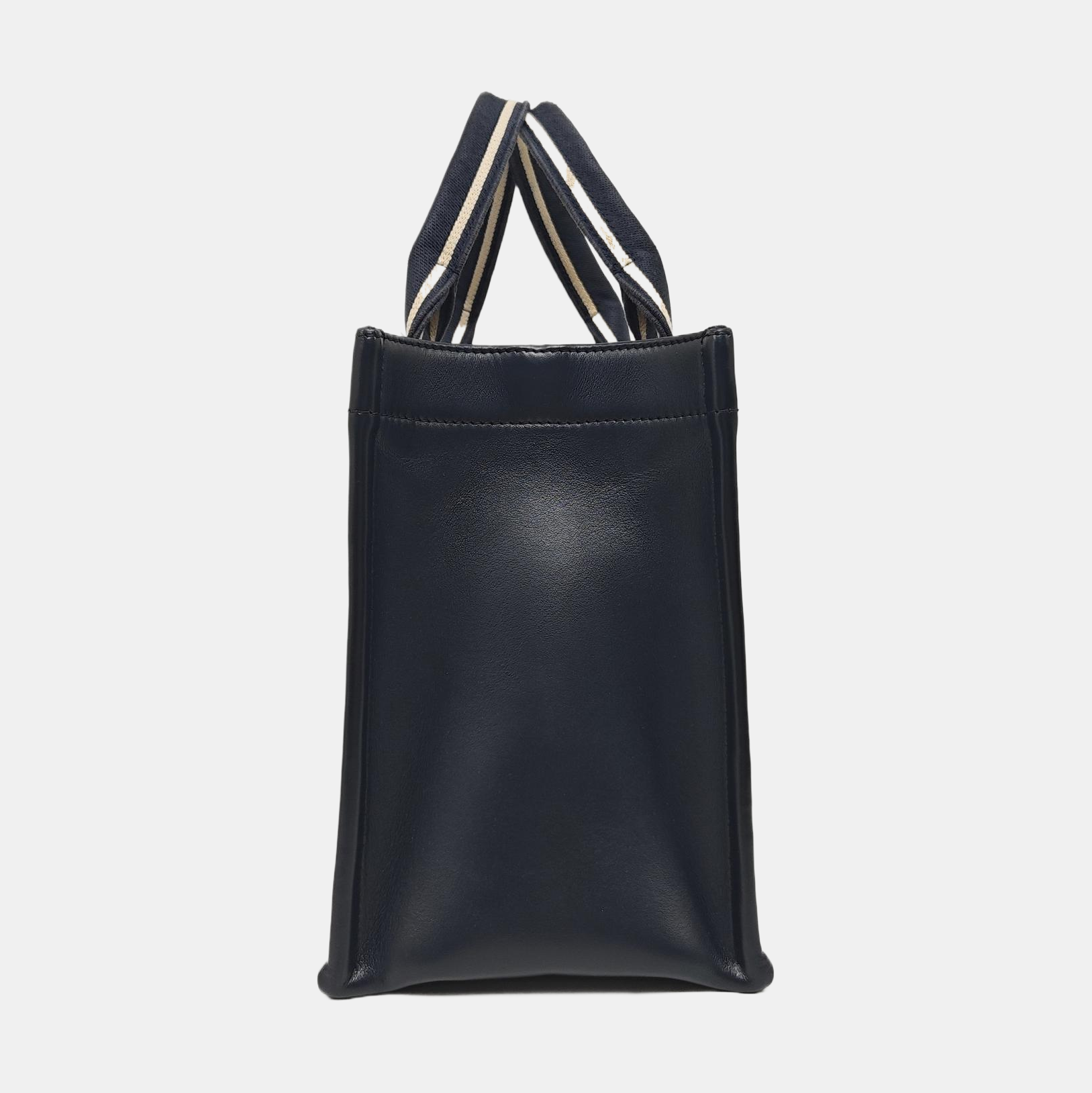 Book Tote Small Oblique Canvas Blue