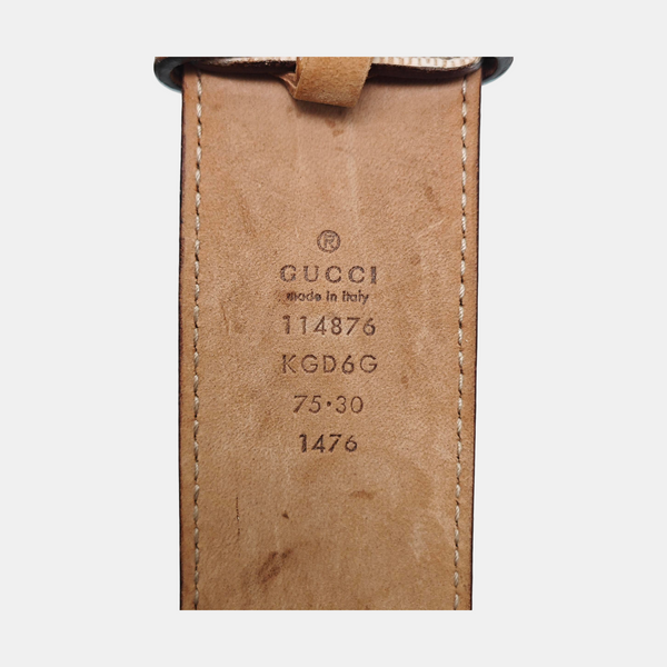 Coated Canvas Belt Beige