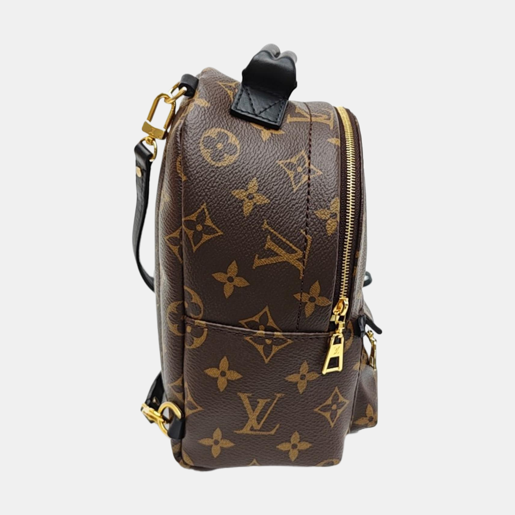 PALM SPRINGS Mini Monogram Coated Canvas Brown