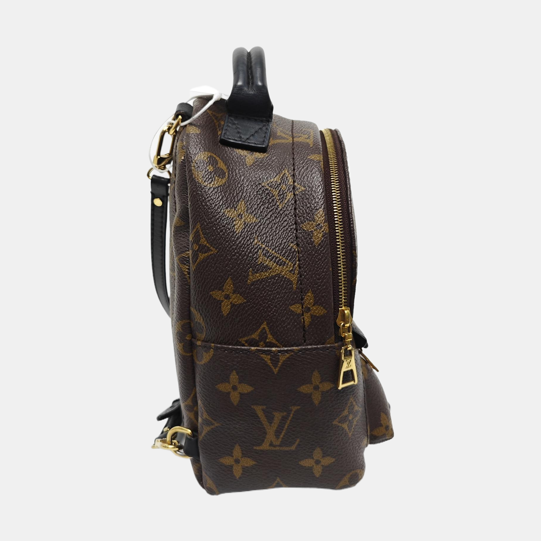 PALM SPRINGS Mini Monogram Coated Canvas Brown
