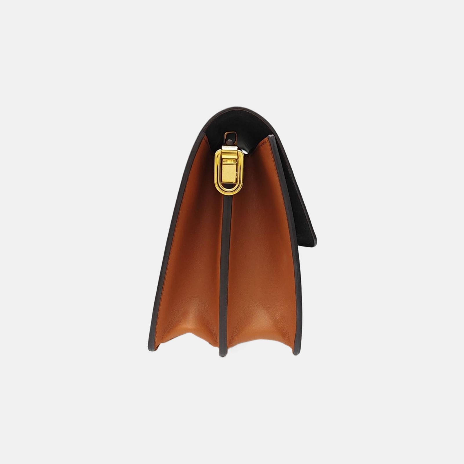 DAUPHINE MM Monogram Coated Canvas Brown