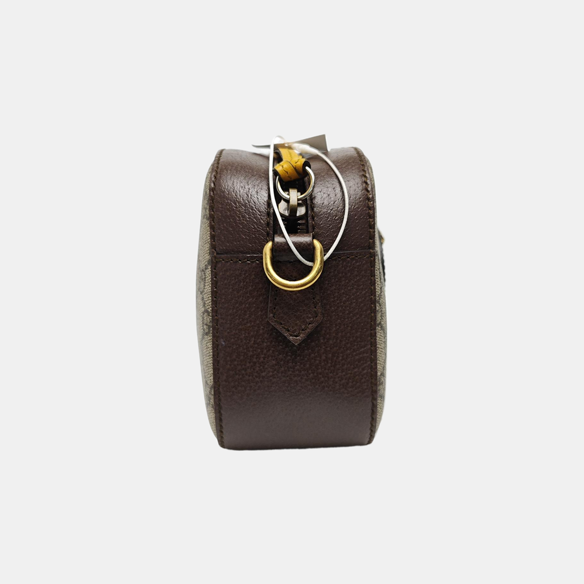 Neo Vintage Monogram Coated Canvas Beige