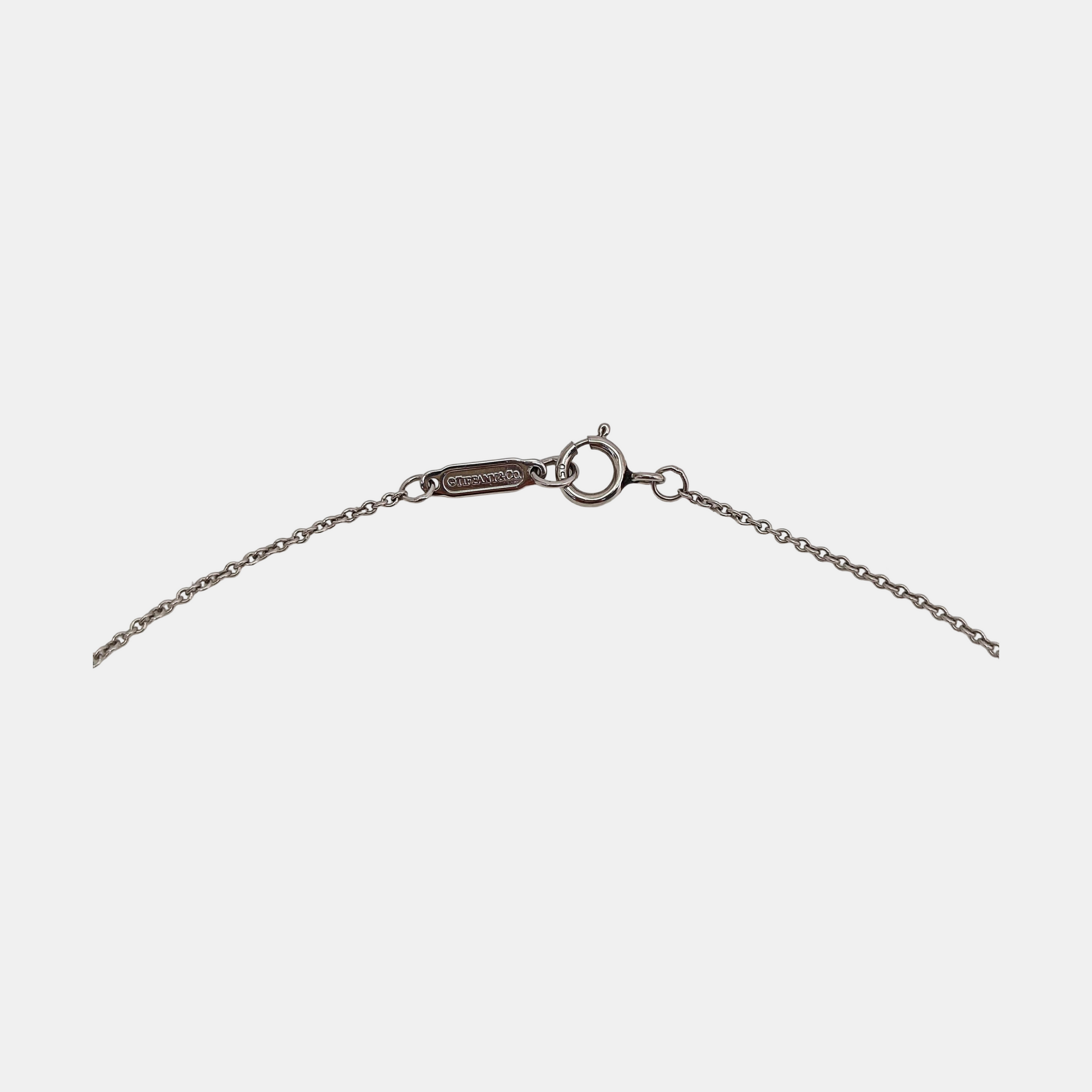 Tiffany Circlet Platinum 950 Silver Necklace